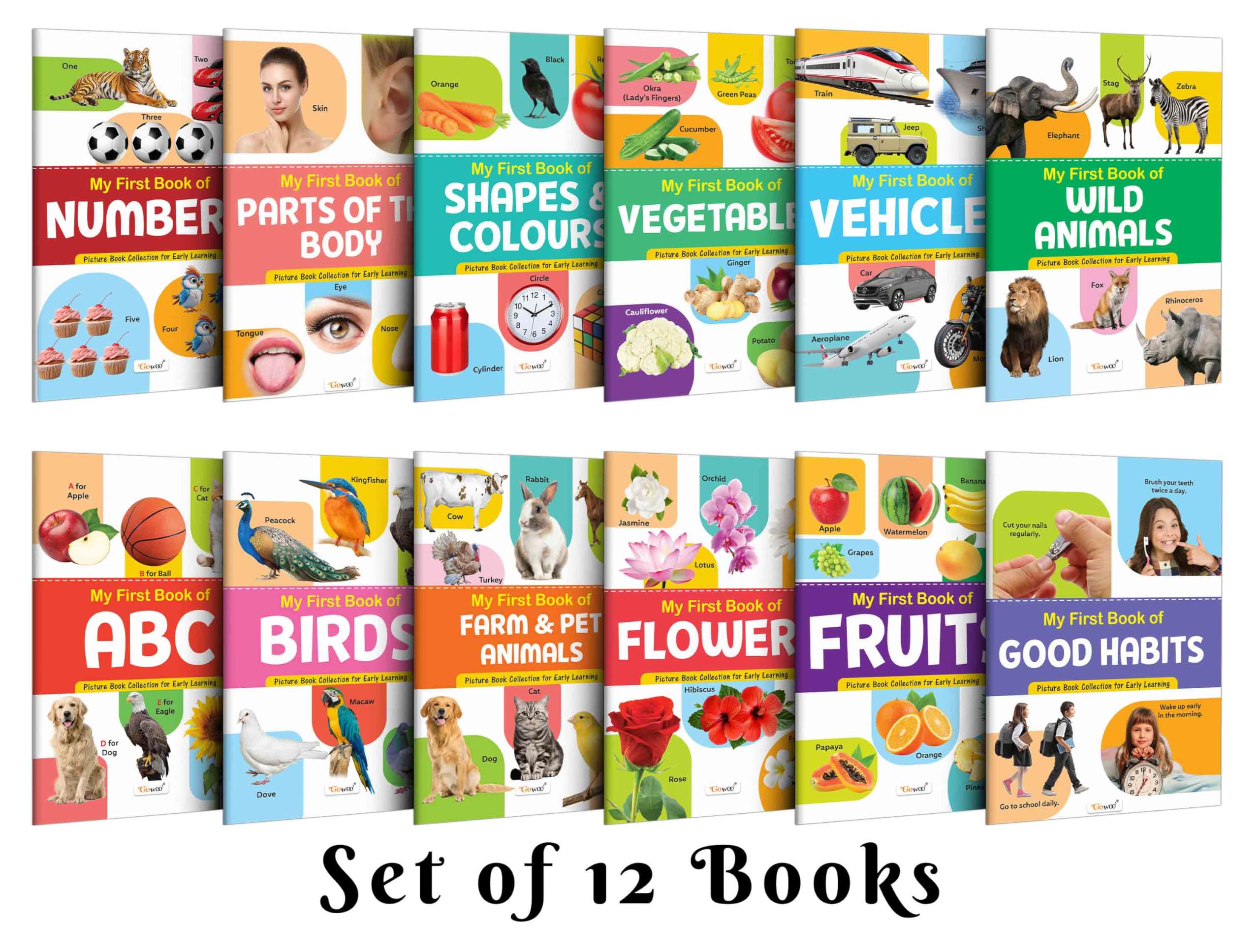 My First Picture Book Collection For Early Learning : Early Learning Picture Book Collections, Essential Book With 12 Topics, gi