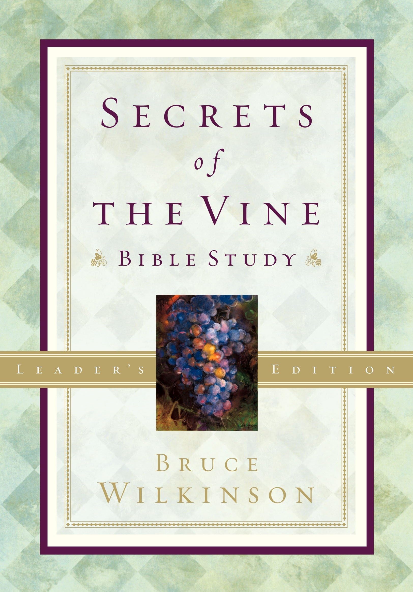 Secrets of the Vine Leaders Guide: Breaking Through to Abundance