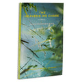 The Heavens We Chase: A novel