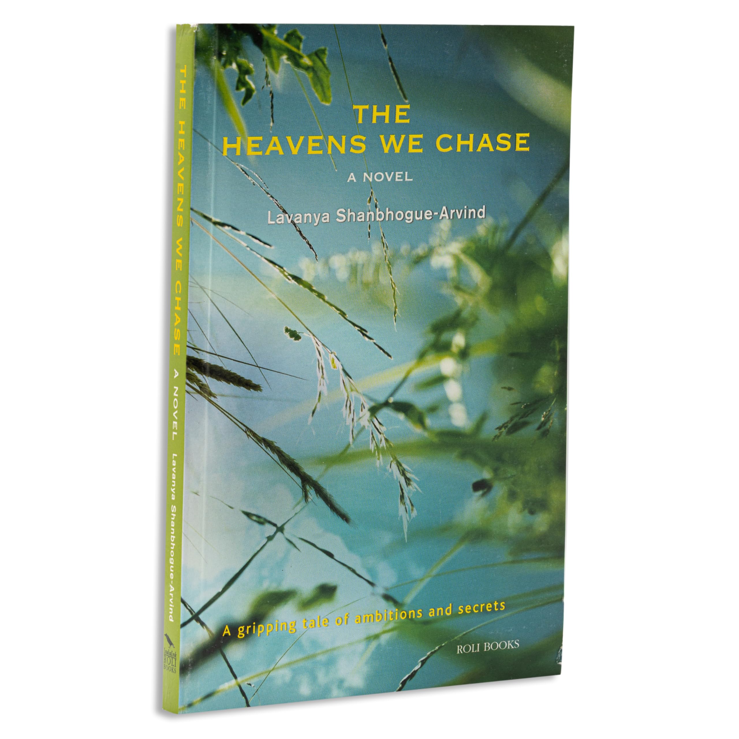 The Heavens We Chase: A novel