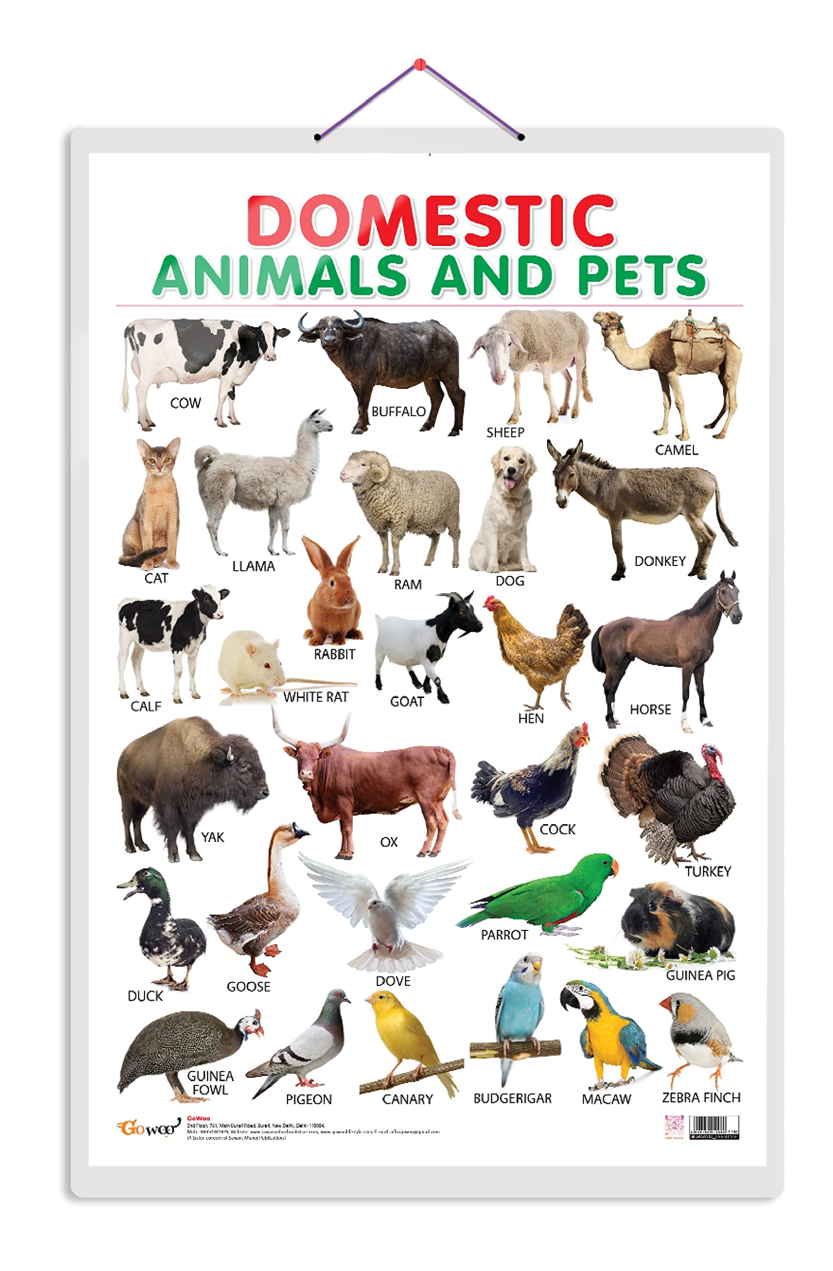 Domestic Animals And Pets [Wall Chart] Sawan