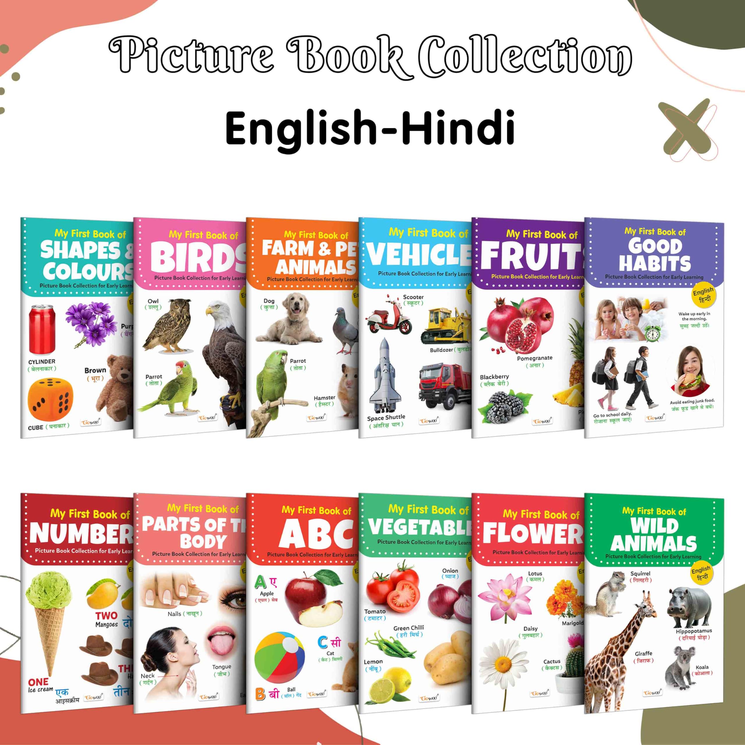 Childrens educational (EngHindi) book collection : My First Picture Book Collection For Early Learning Learning book for pres
