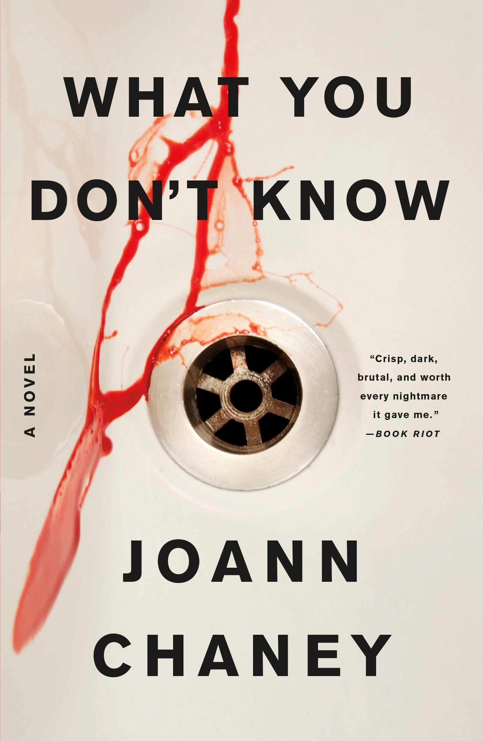 What You DonT Know: A Novel