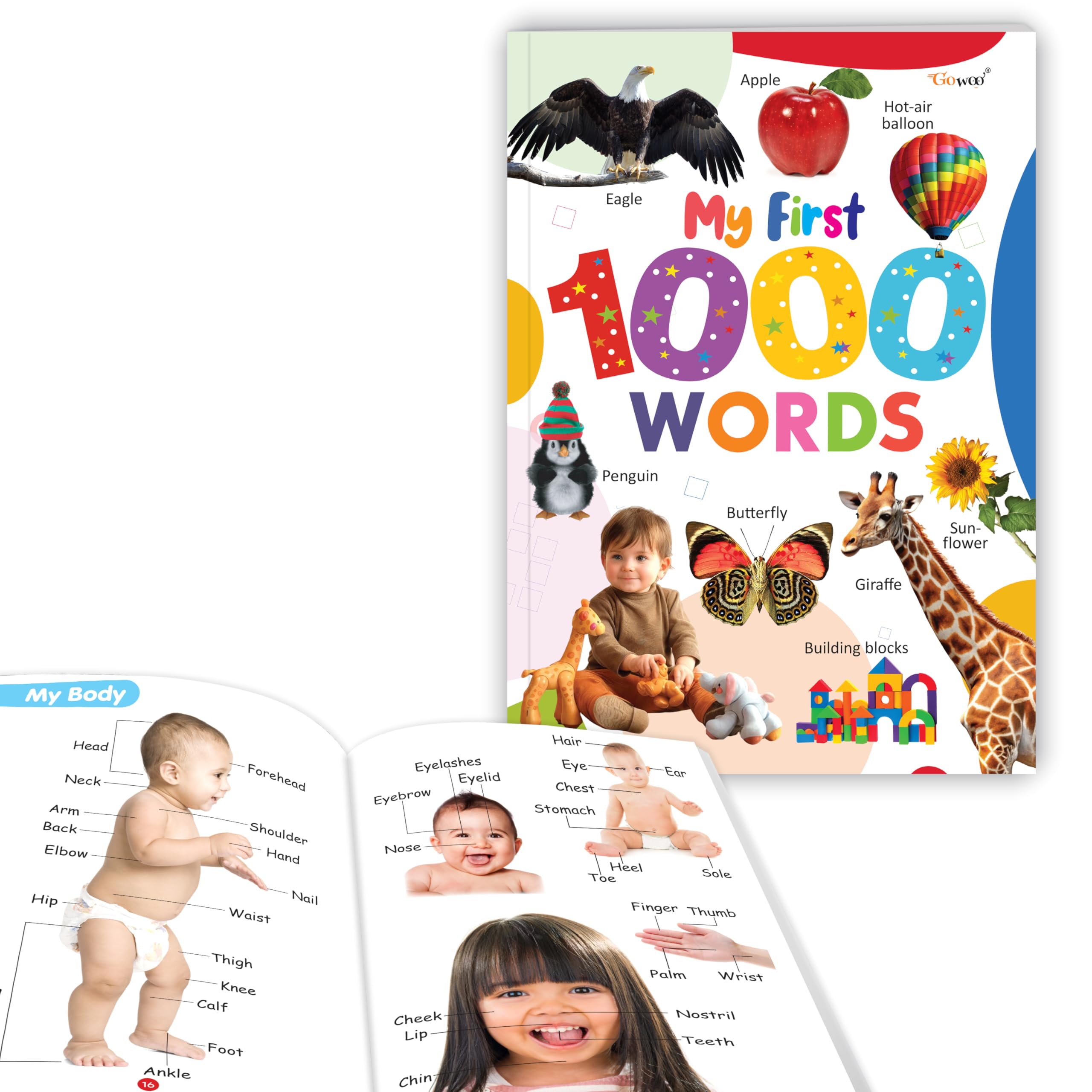My First 1000 Words book : Colourful Picture Word Book for Kids, Fun Learning book for toddlers, Early education book ages 312 
