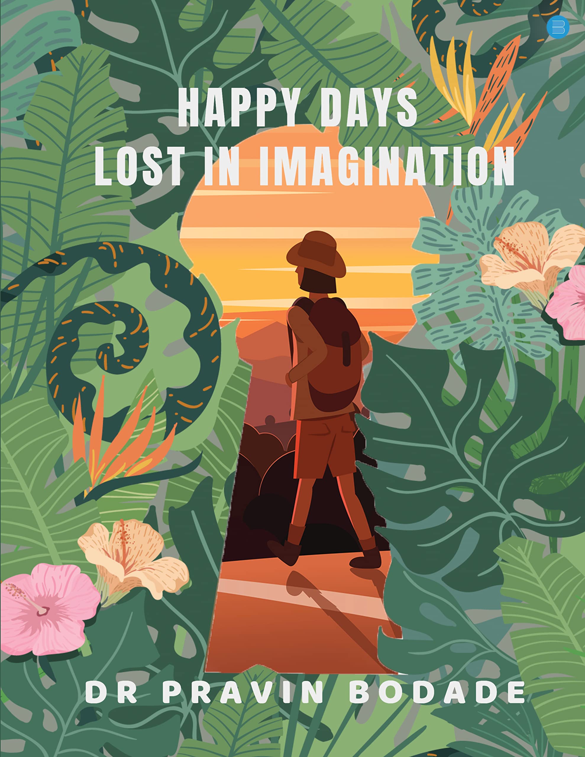 Lost in Imagination