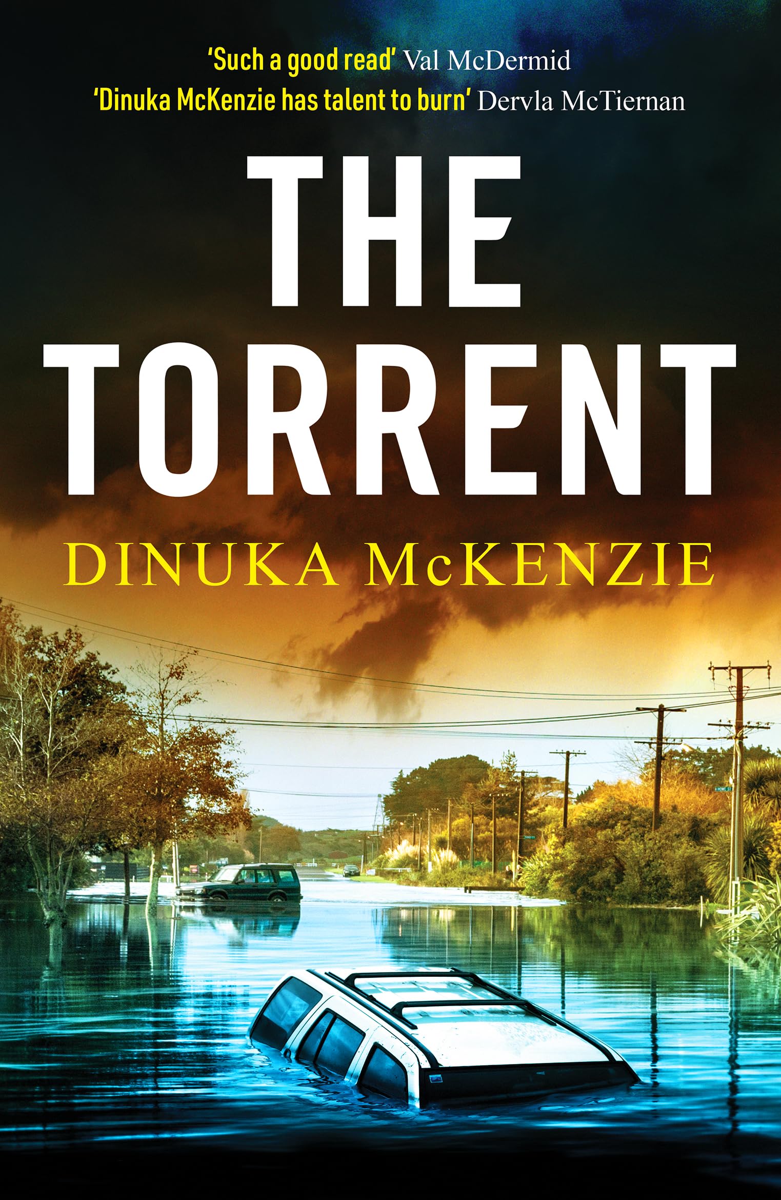 Canelo Crime The Torrent An unputdownable Australian crime thriller (Detective Kate Miles).