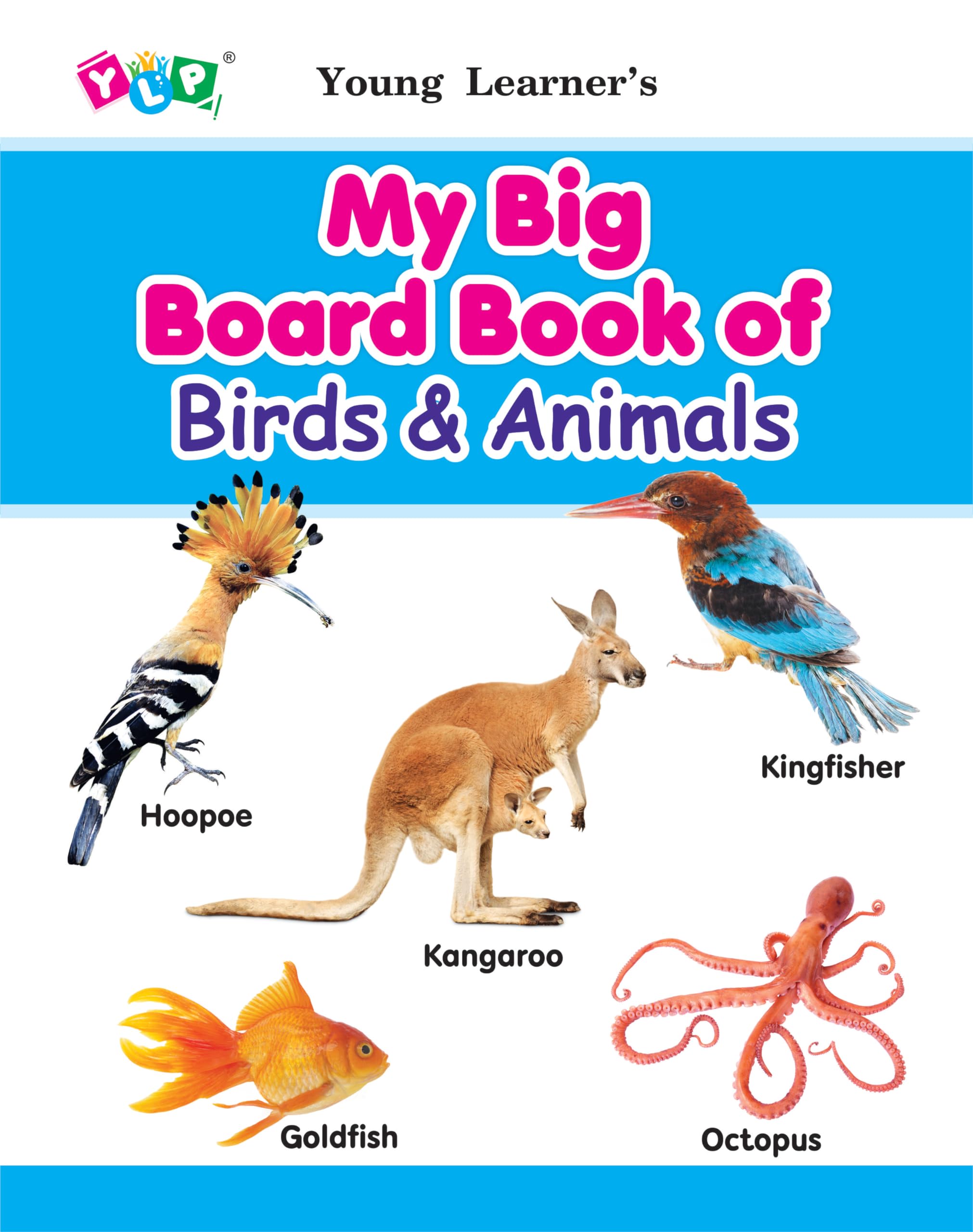 My Big Board Book of Birds & Animals