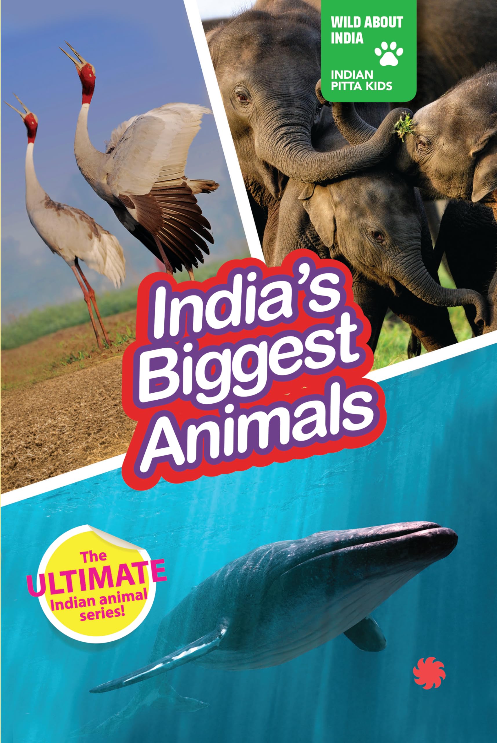 Indias Biggest Animal