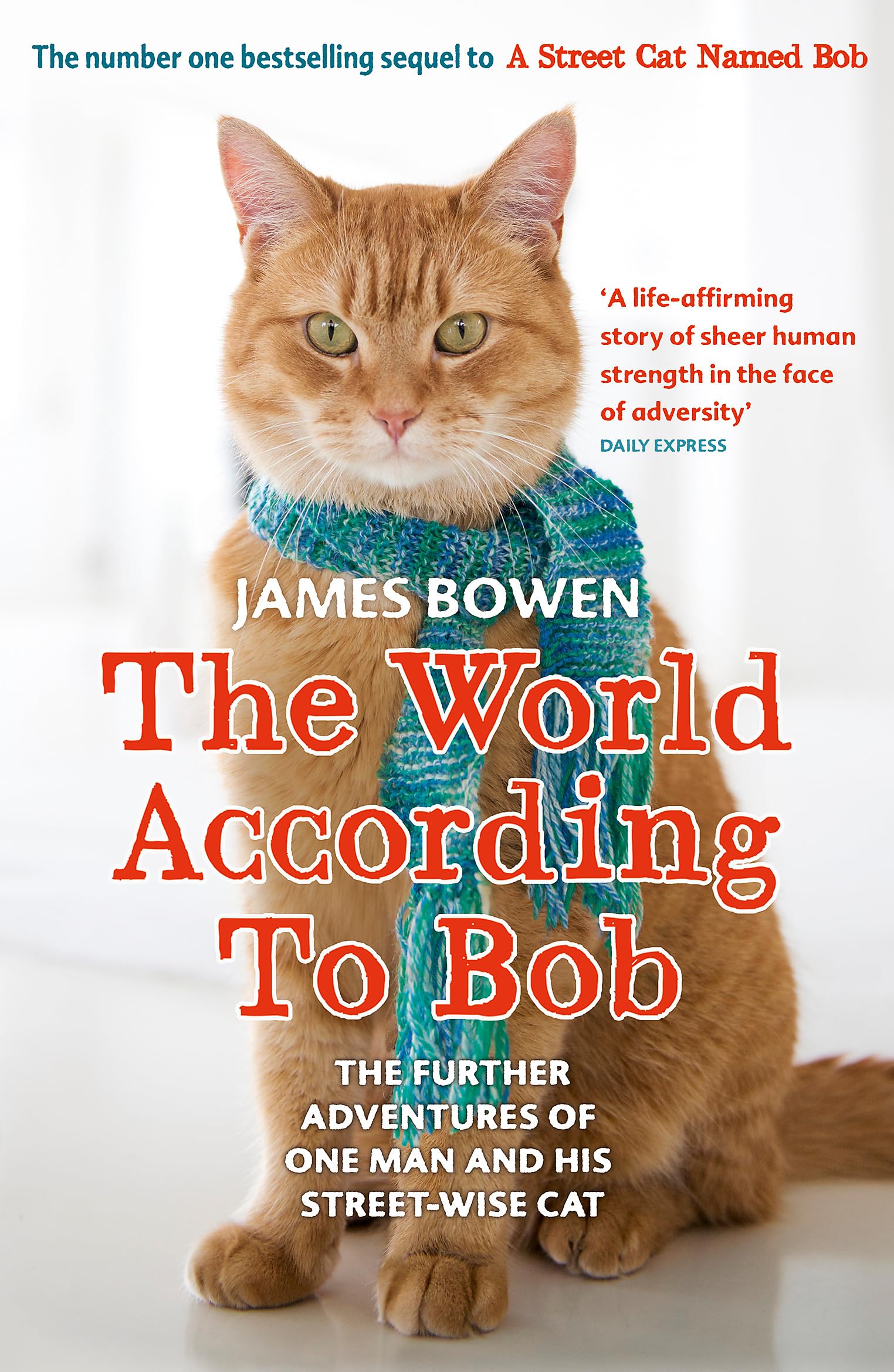 THE WORLD ACCORDING TO BOB