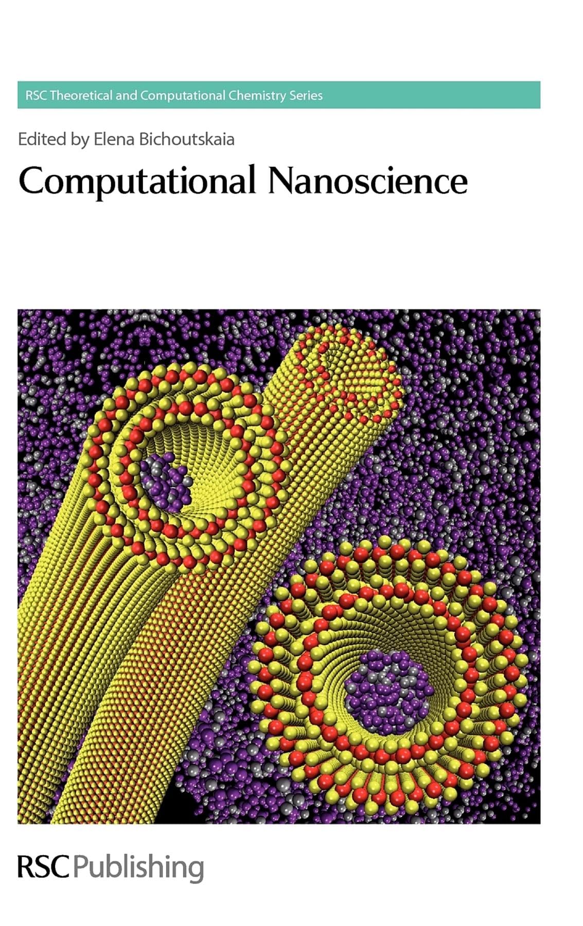 Computational Nanoscience (Theoretical and Computational Chemistry Series, Volume 4)