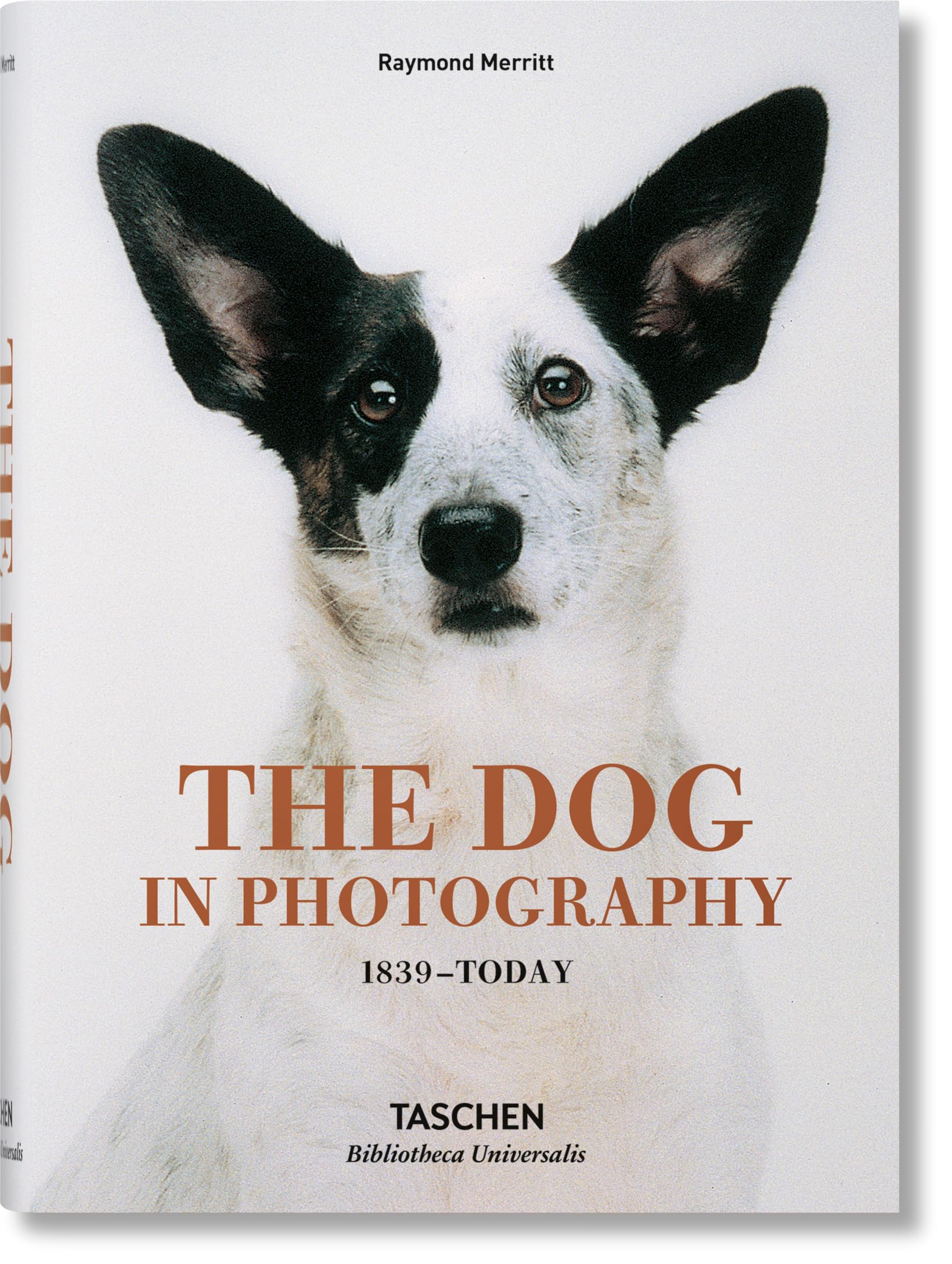 The Dog in Photography / Der Hund In Der Fotografie / Le Chien Dans La Photographie: 1839today