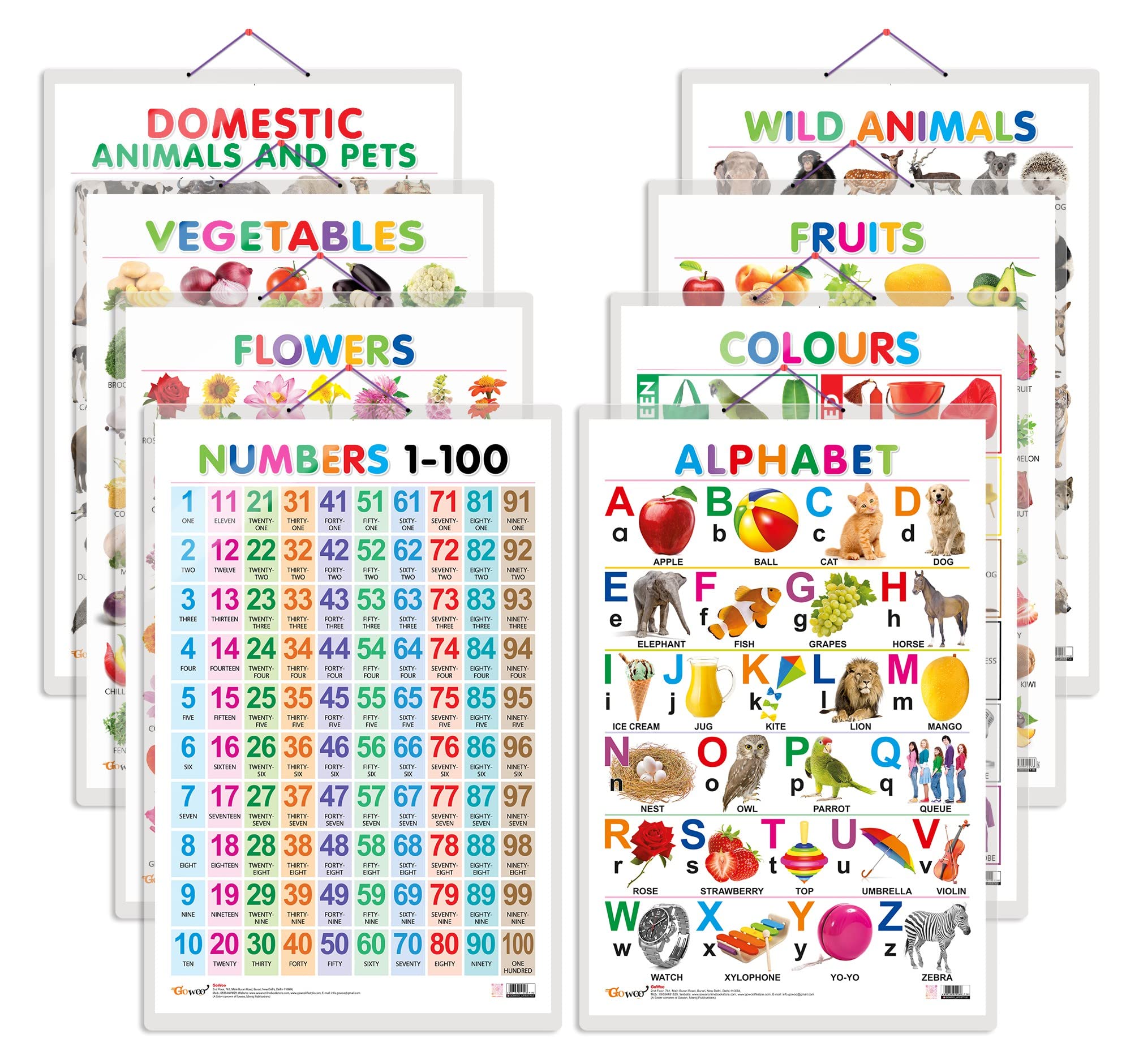 All In One Hard Laminated Educational Chart | Pack Of 8 Charts (V1) [Hardcover] Sawan