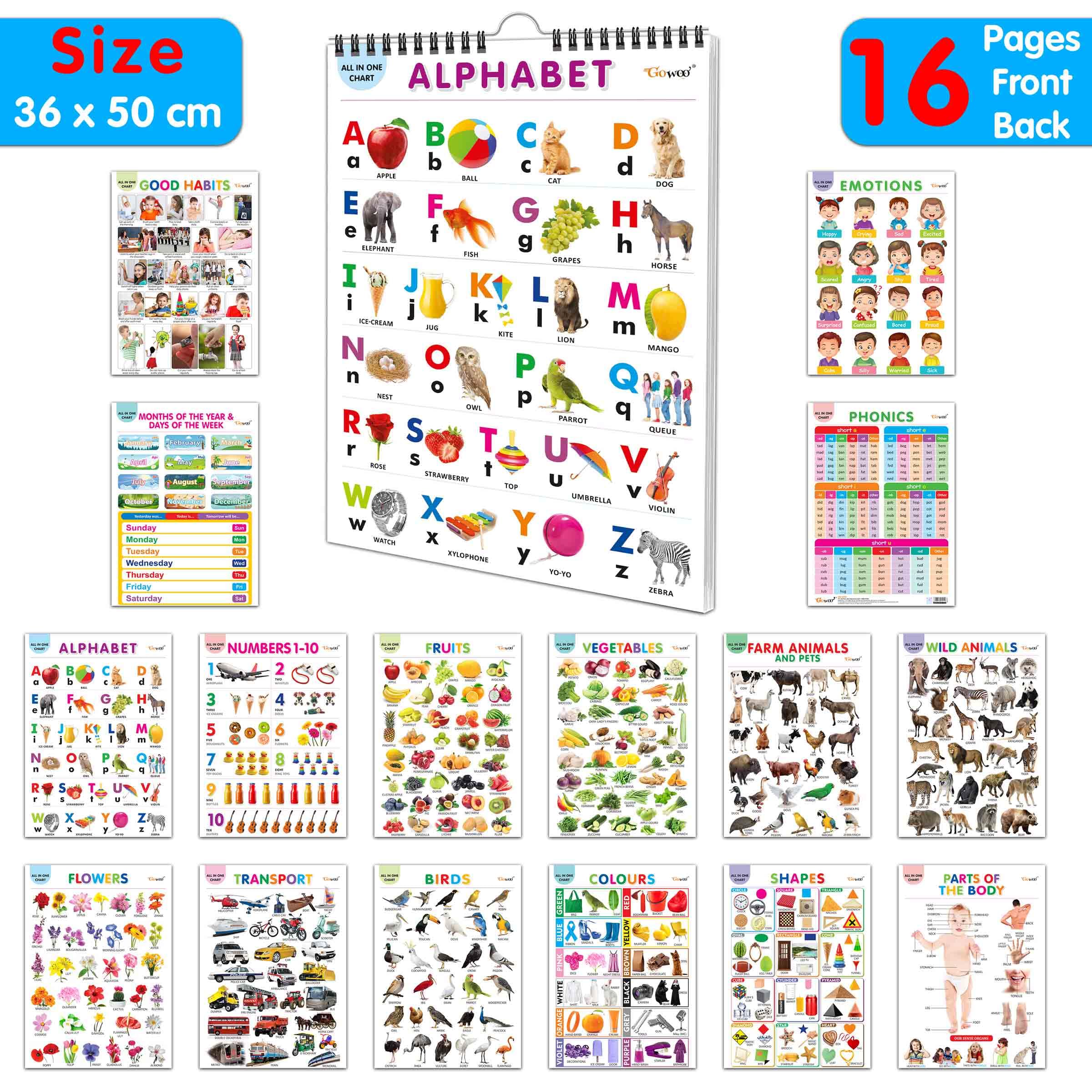 Lkg Class Picture Chart : Chart For Children, All In One essential Chart, Gift For Kids My First ALL IN ONE SPIRAL CHART With 16