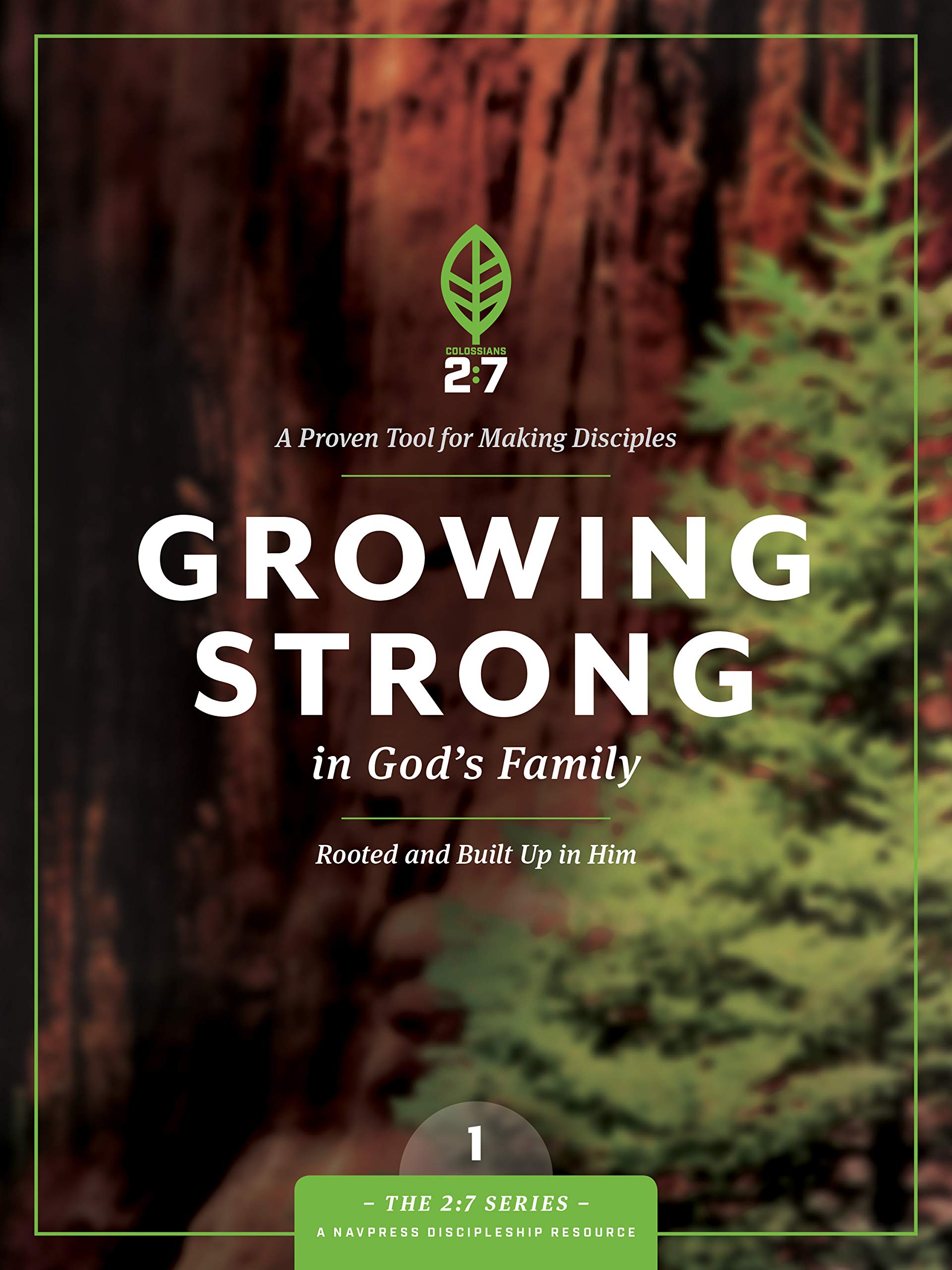Growing Strong in Gods Family: Rooted and Built Up in Him (The 2:7 Series)