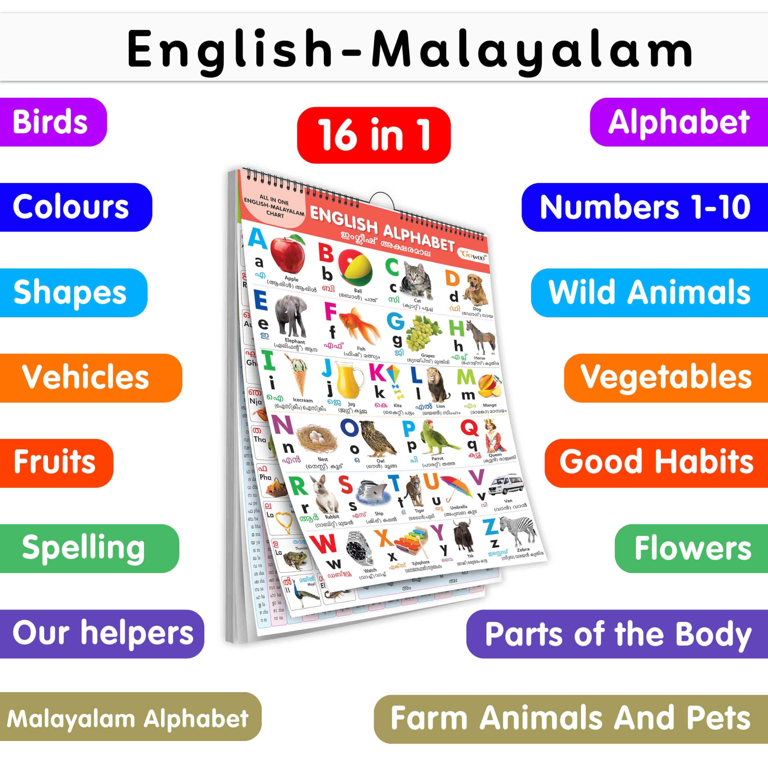 My First ALL IN ONE SPIRAL CHART ENGLISHMALYALAM : With 16 Topics ( Big Fonts and Realistic Pictures) | Gift Set For Kids