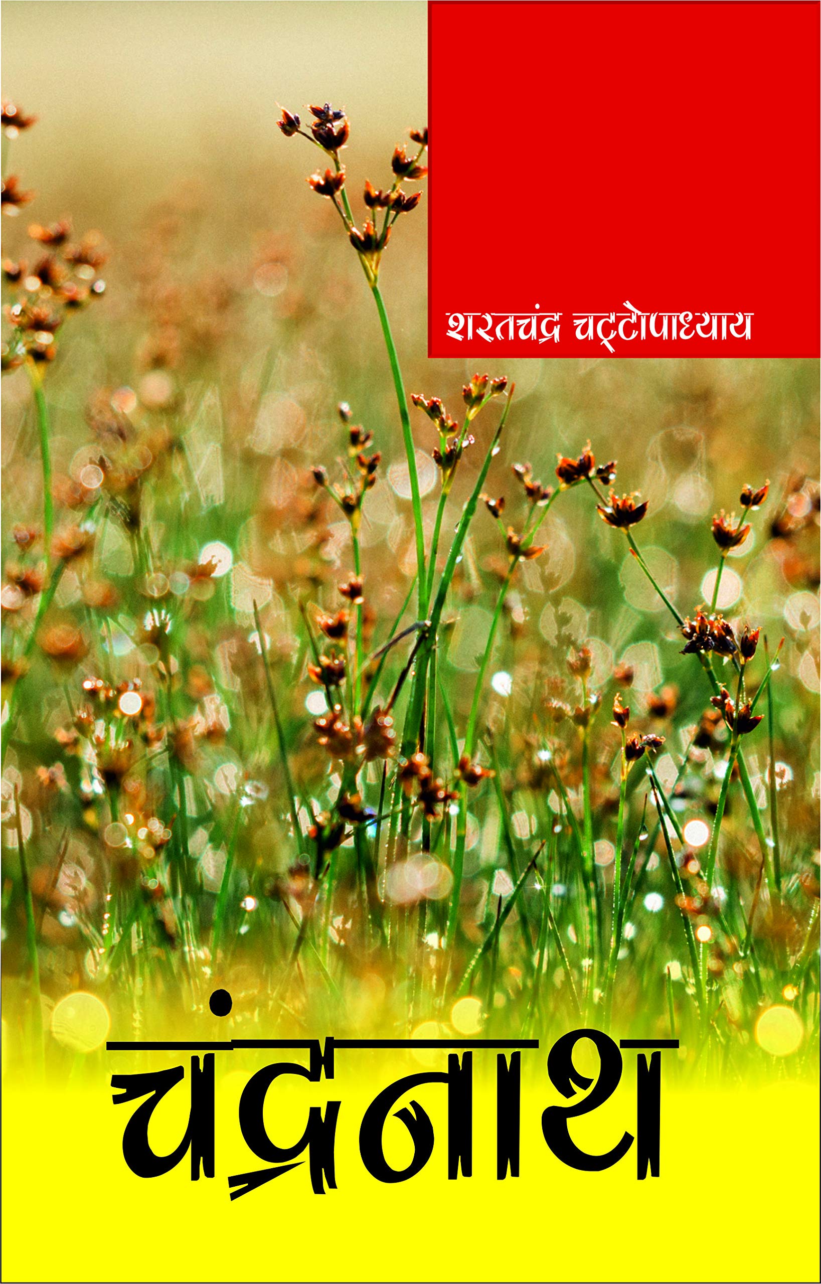 CHANDRANATH by Sarat Chandra Chattopadhyay
