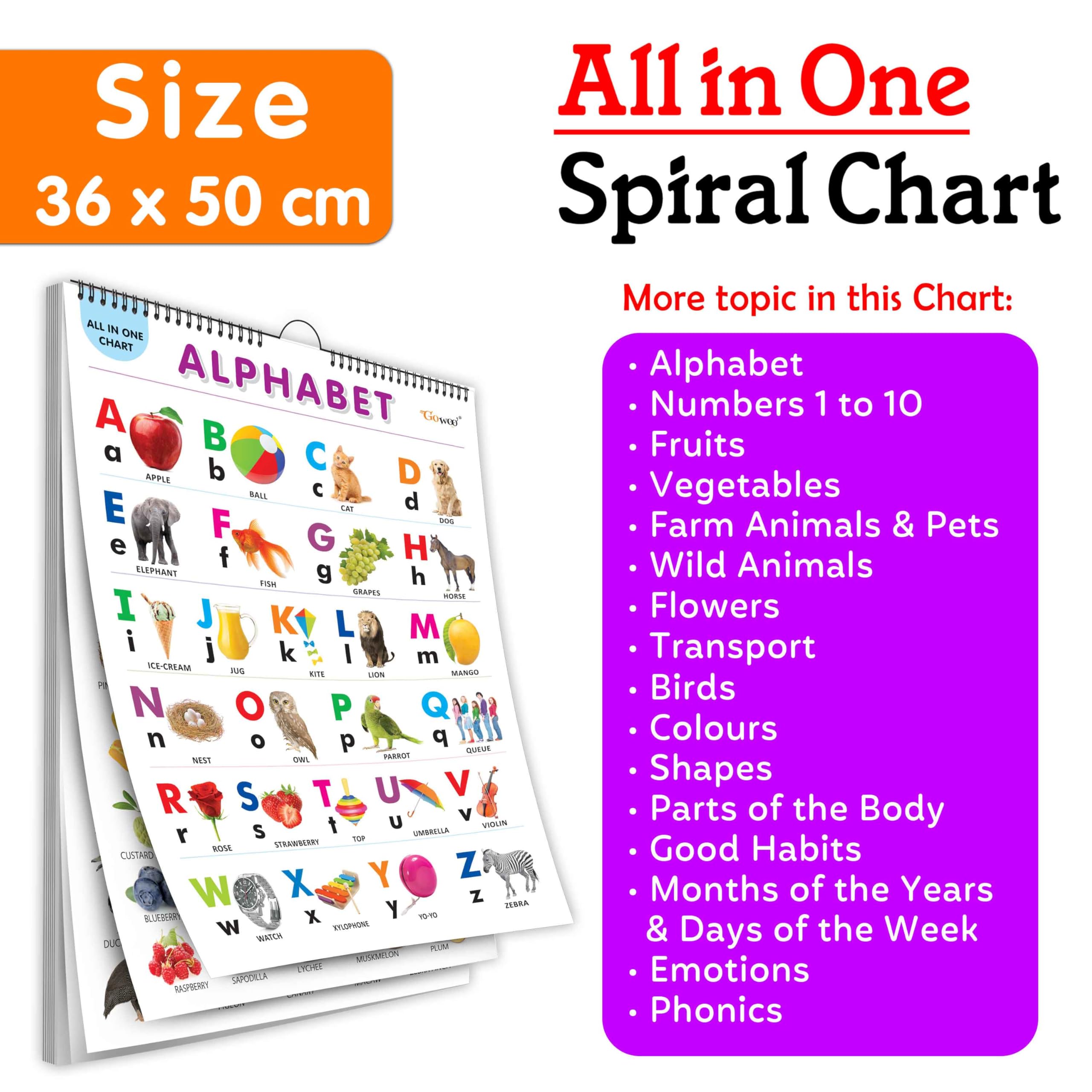 My First ALL IN ONE SPIRAL CHART : With 16 Topics : (Big Fonts and Realistic Pictures) kids Chart