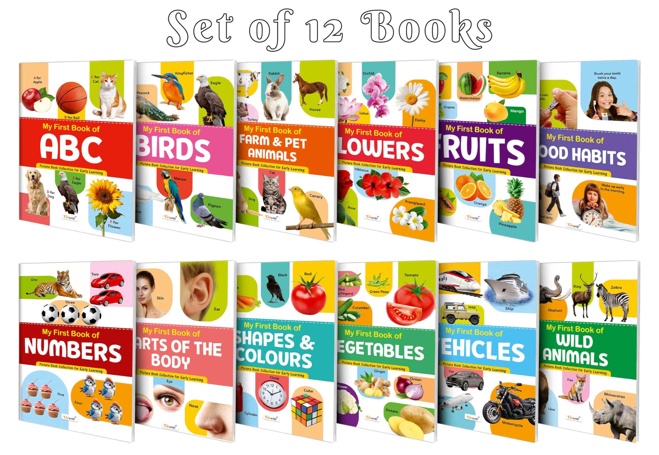 My First Picture Book Collection For Early Learning With 12 Topics (Waterproof, DustResistant, Big Fonts, Laminated, Realistic 