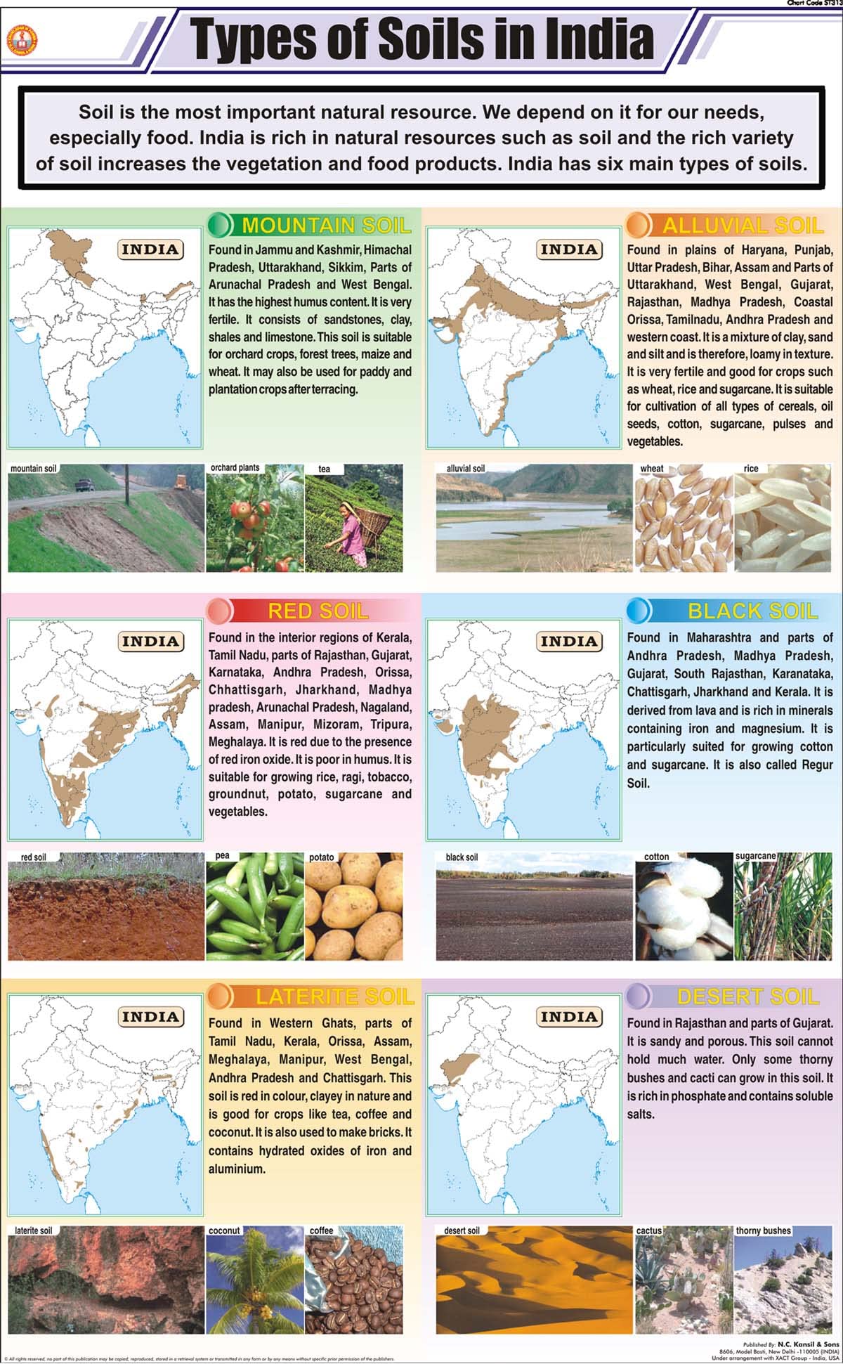 Stg24 | Teachingnest | Types Of Soil In India Chart (58X90 Cm) | English | General Science Charts | With Rollers [Wall Chart] Ge