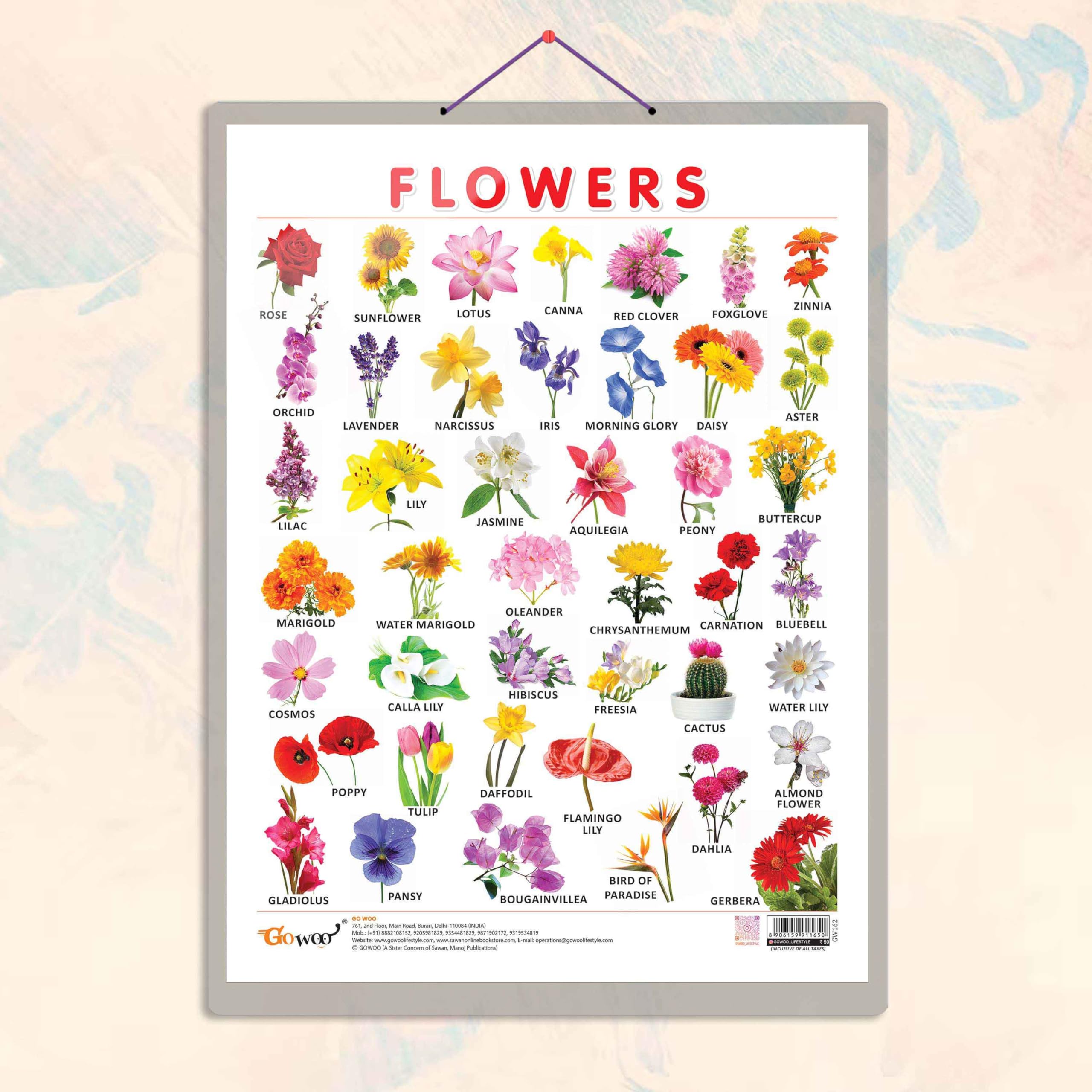 FLOWERS CHART HARD LAMINATED | Blossom Brilliance: Hard Laminated Flowers Chart for Floral Education