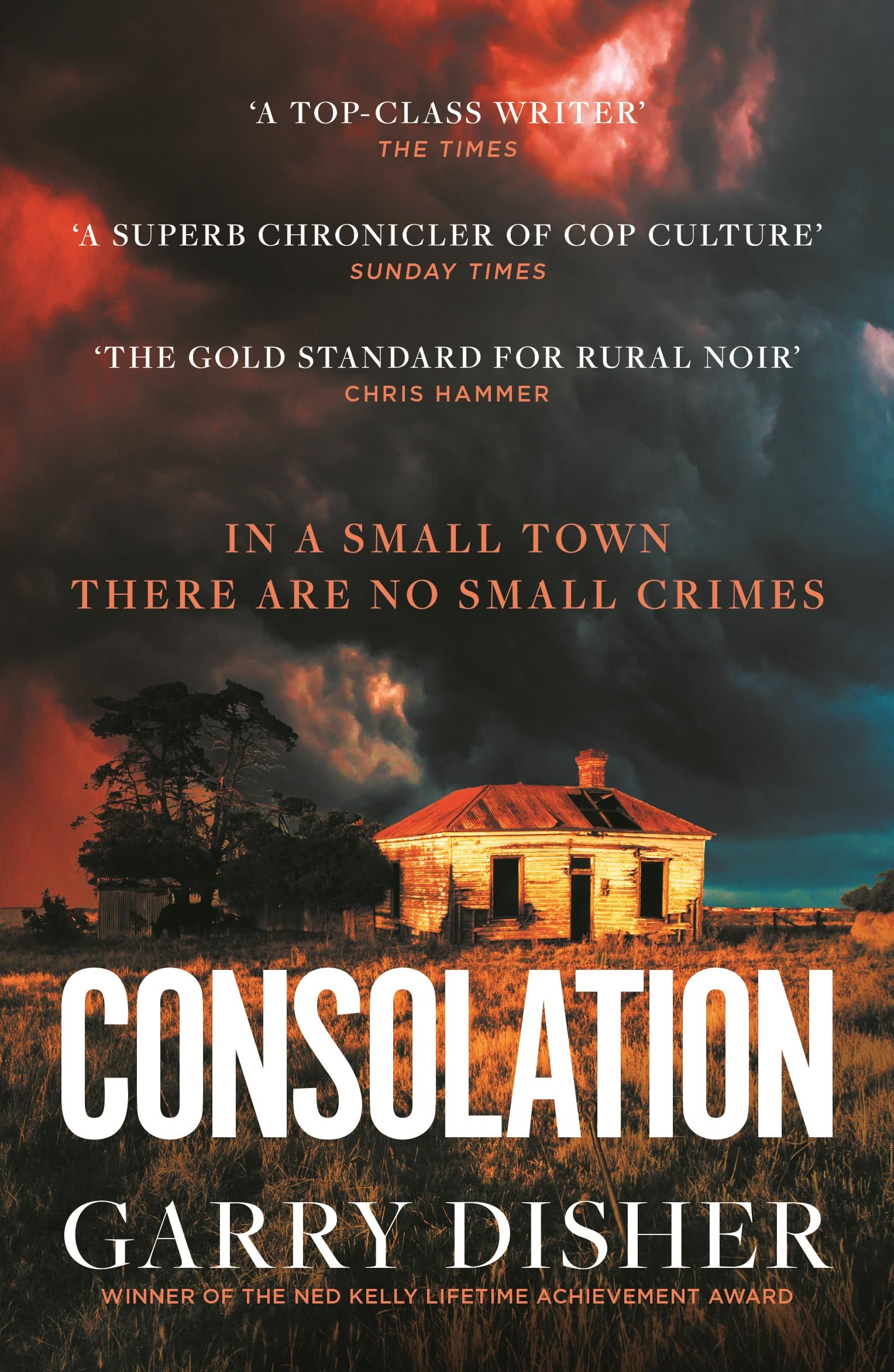 Consolation: Constable Hirsch Mysteries 3