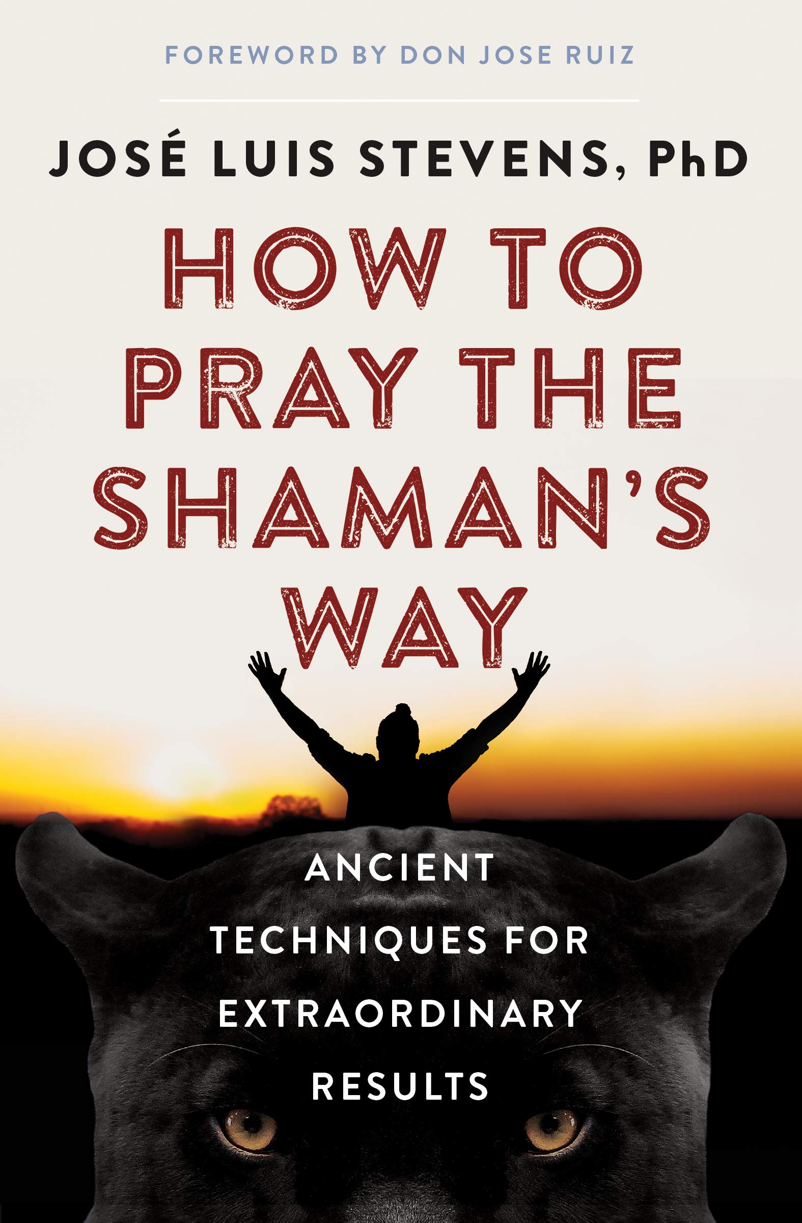 How to Pray the Shamans Way: Ancient Techniques for Extraordinary Results (Power Path Series)