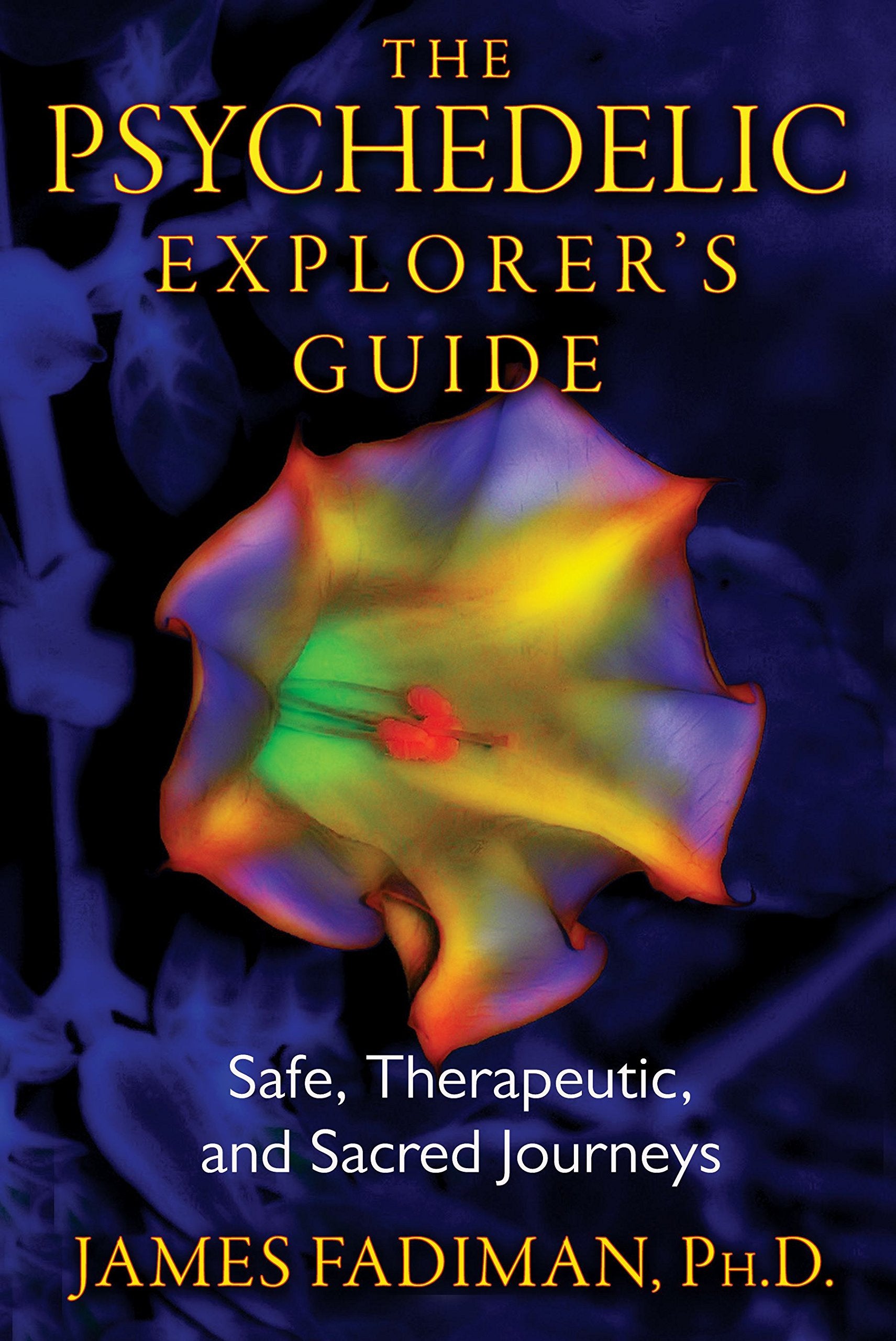 The Psychedelic Explorers Guide: Safe, Therapeutic, and Sacred Journeys