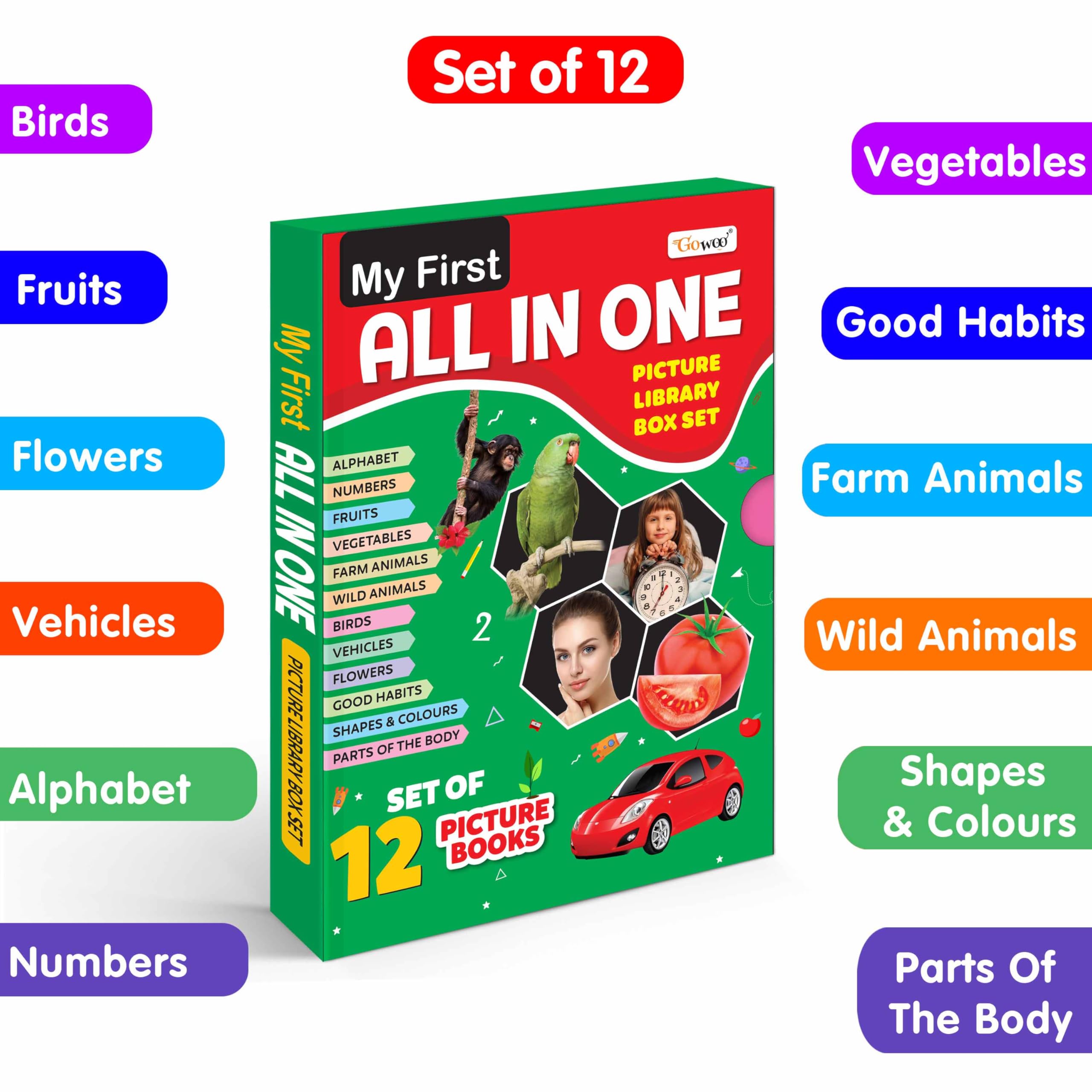My First All in One Picture Library Box (Green Edition) : Learning book for kids, Educational picture books for toddlers, Collec