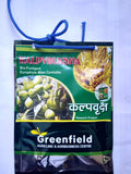 Fumigation For Insect Control