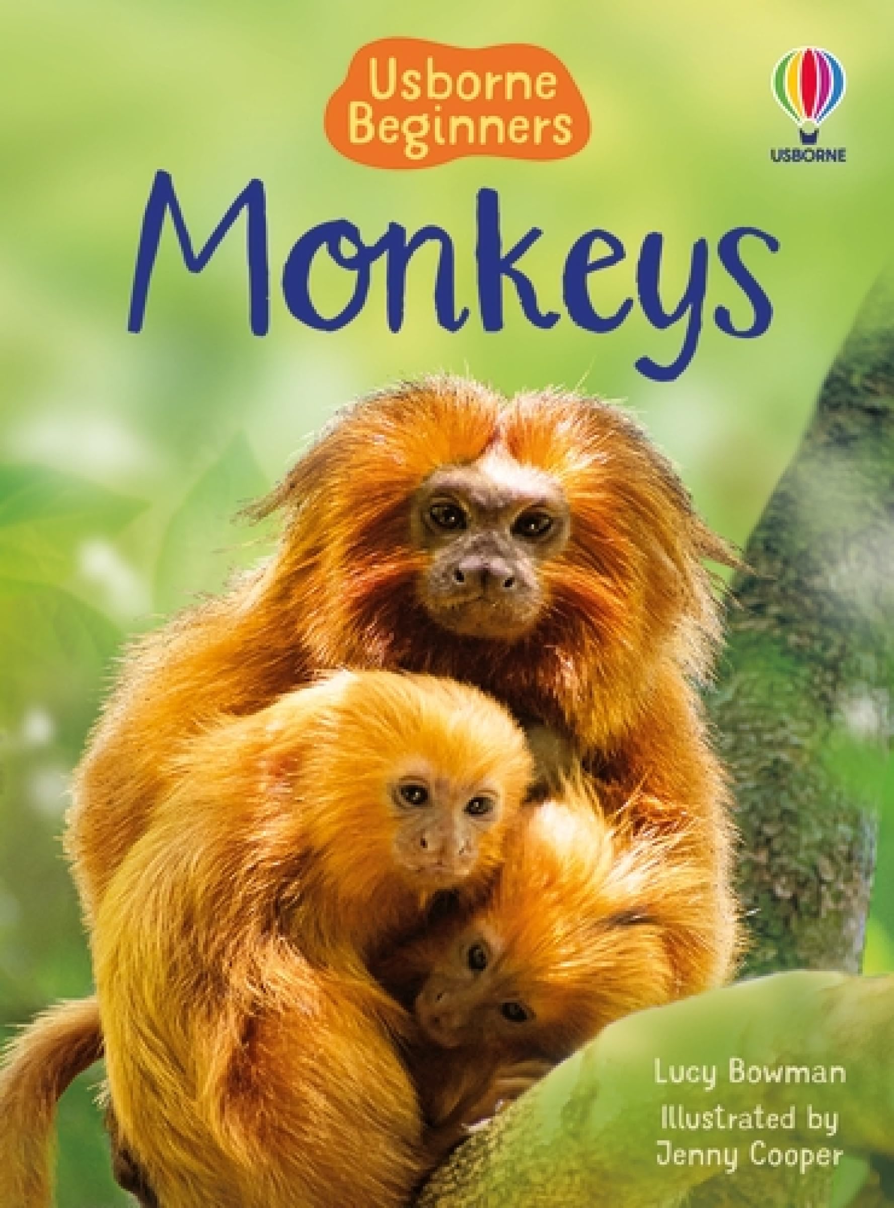 Beginners Monkeys