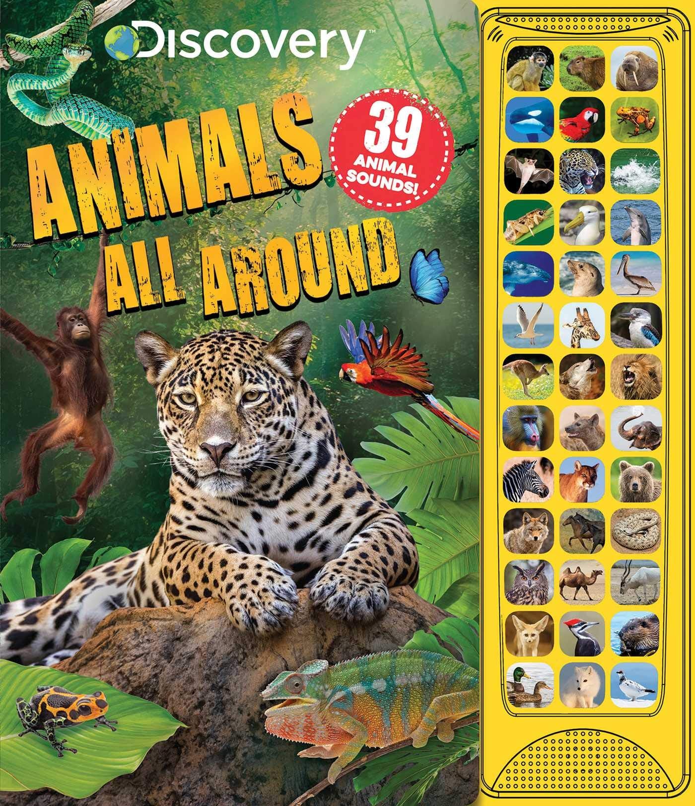 Discovery: Animals All Around (39Button Sound Books)