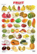 Educational Fruit Wall Chart for Kids Ages 25  Fruit 5 Learning Chart, 48 x 73 cm, Colourful Laminated & TearResistant for Cl