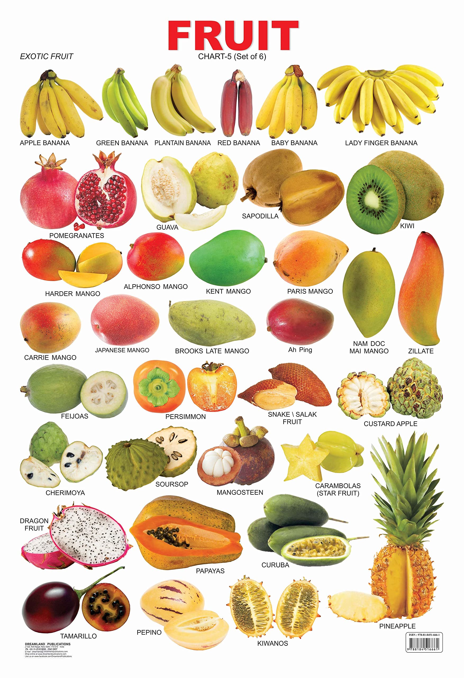 Educational Fruit Wall Chart for Kids Ages 25  Fruit 5 Learning Chart, 48 x 73 cm, Colourful Laminated & TearResistant for Cl