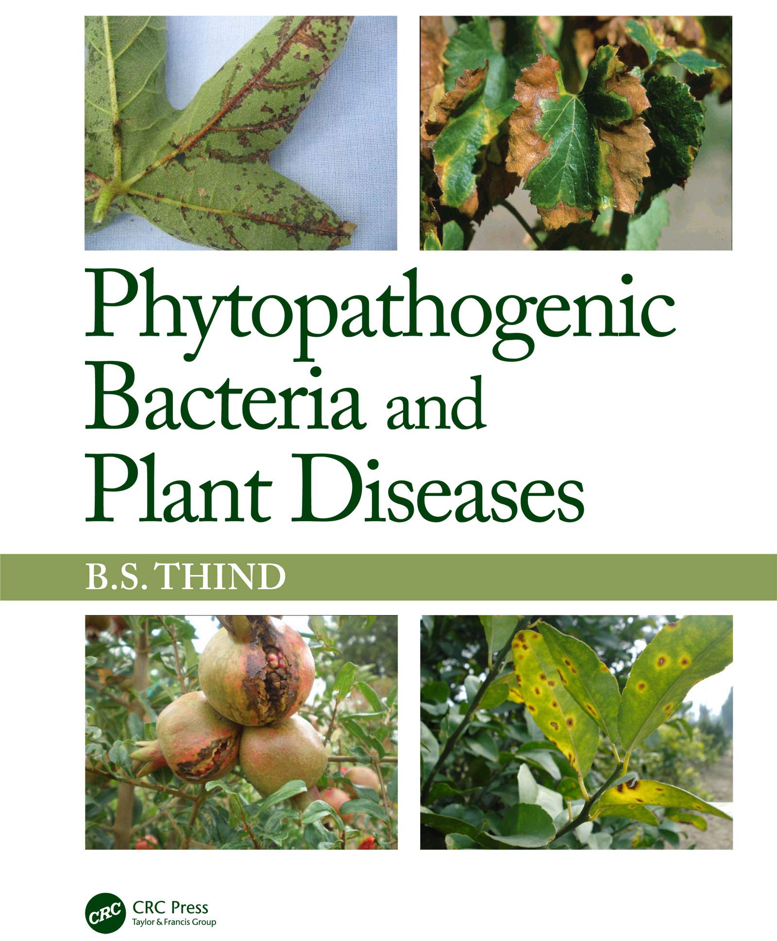 PHYTOPATHOGENIC BACTERIA AND PLANT DISEASES (HB 2020)