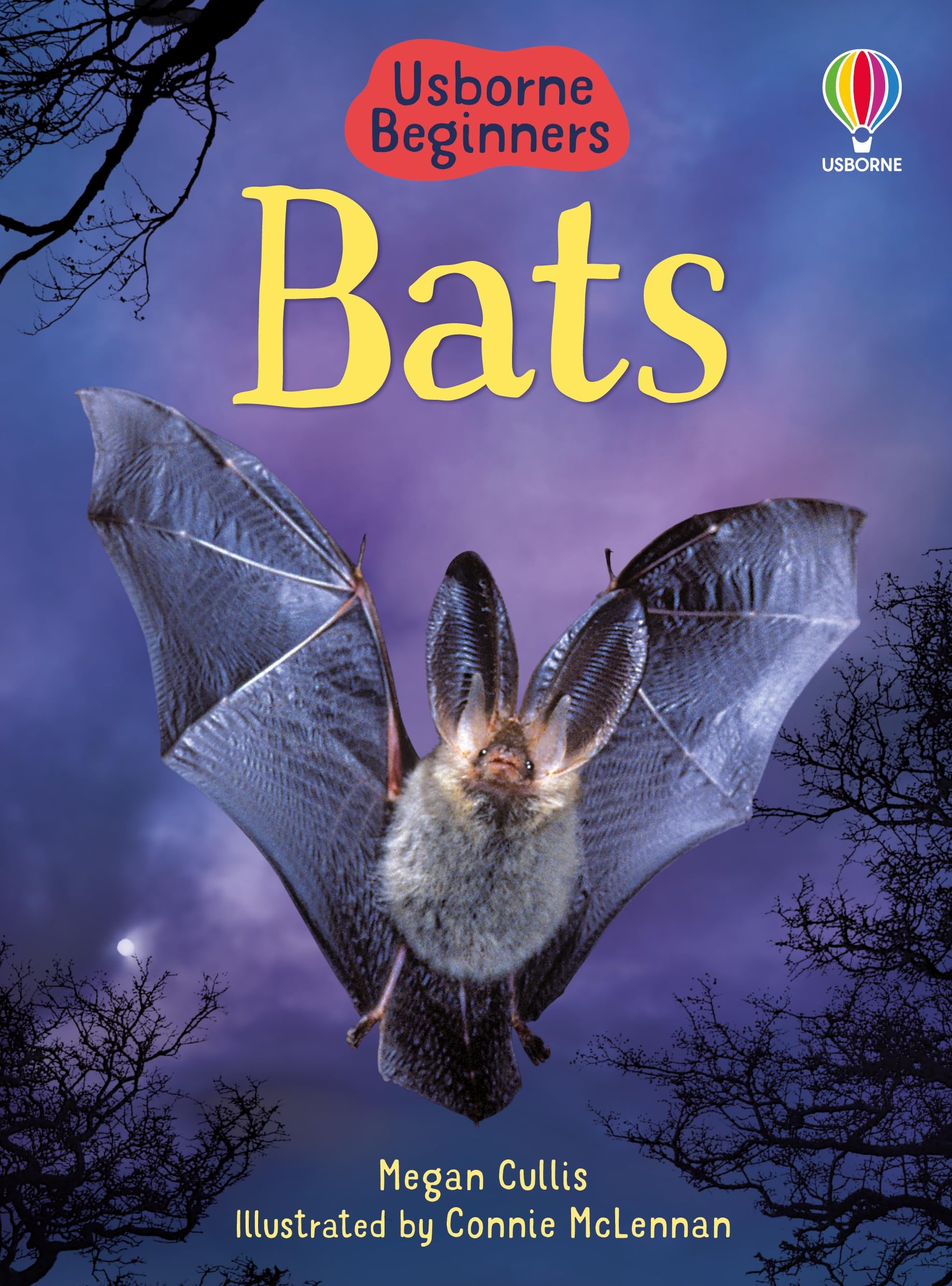 Bats  Usborne Beginners