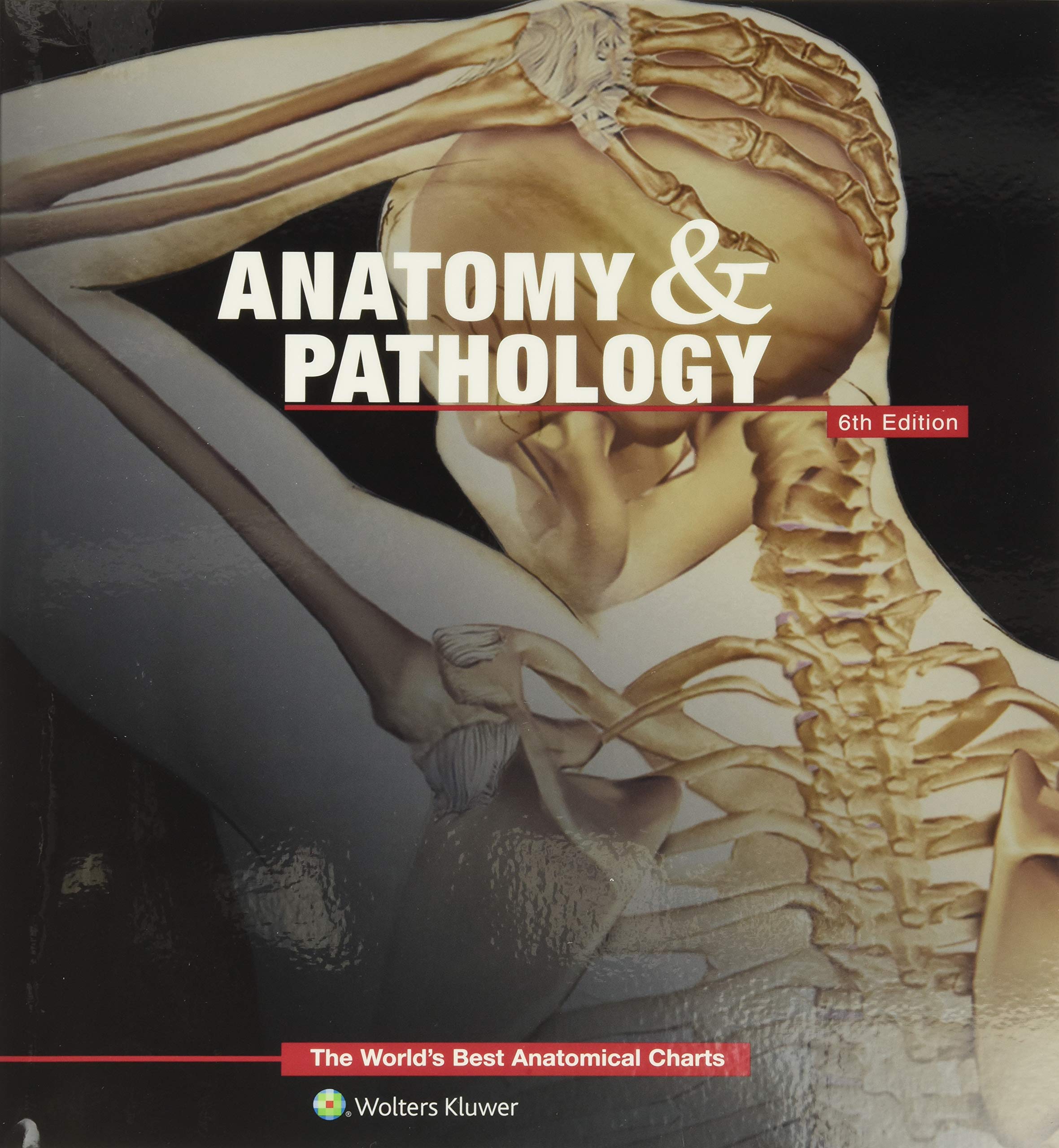 Anatomy & Pathology:The Worlds Best Anatomical Charts Book (The Worlds Best Anatomical Chart Series)