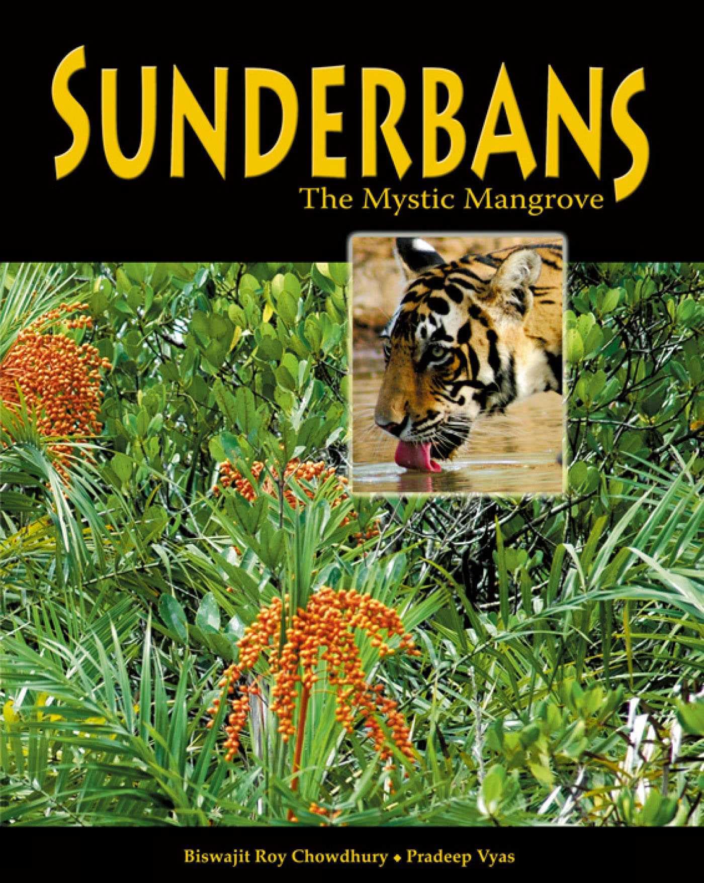 Sunderbans: The Mystic Mangrove