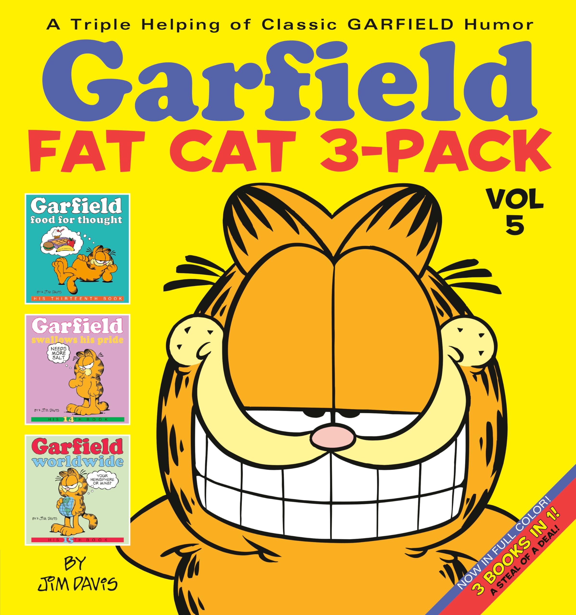 Garfield Fat Cat 3Pack #5