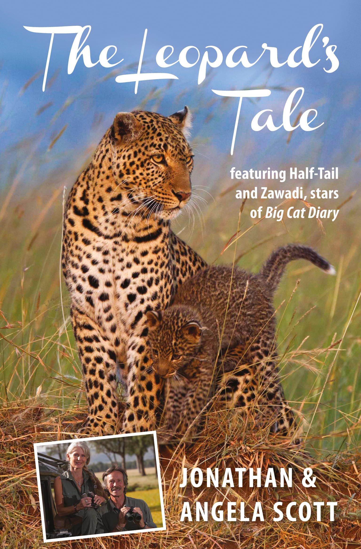 Leopards Tale: Featuring HalfTail And Zawadi, Stars Of Big Cat Diary (Bradt Travel Narratives)