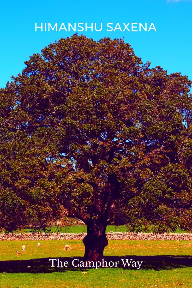 The Camphor Way: How to Burn Brightly, Let Go, and Leave a Lasting Impact