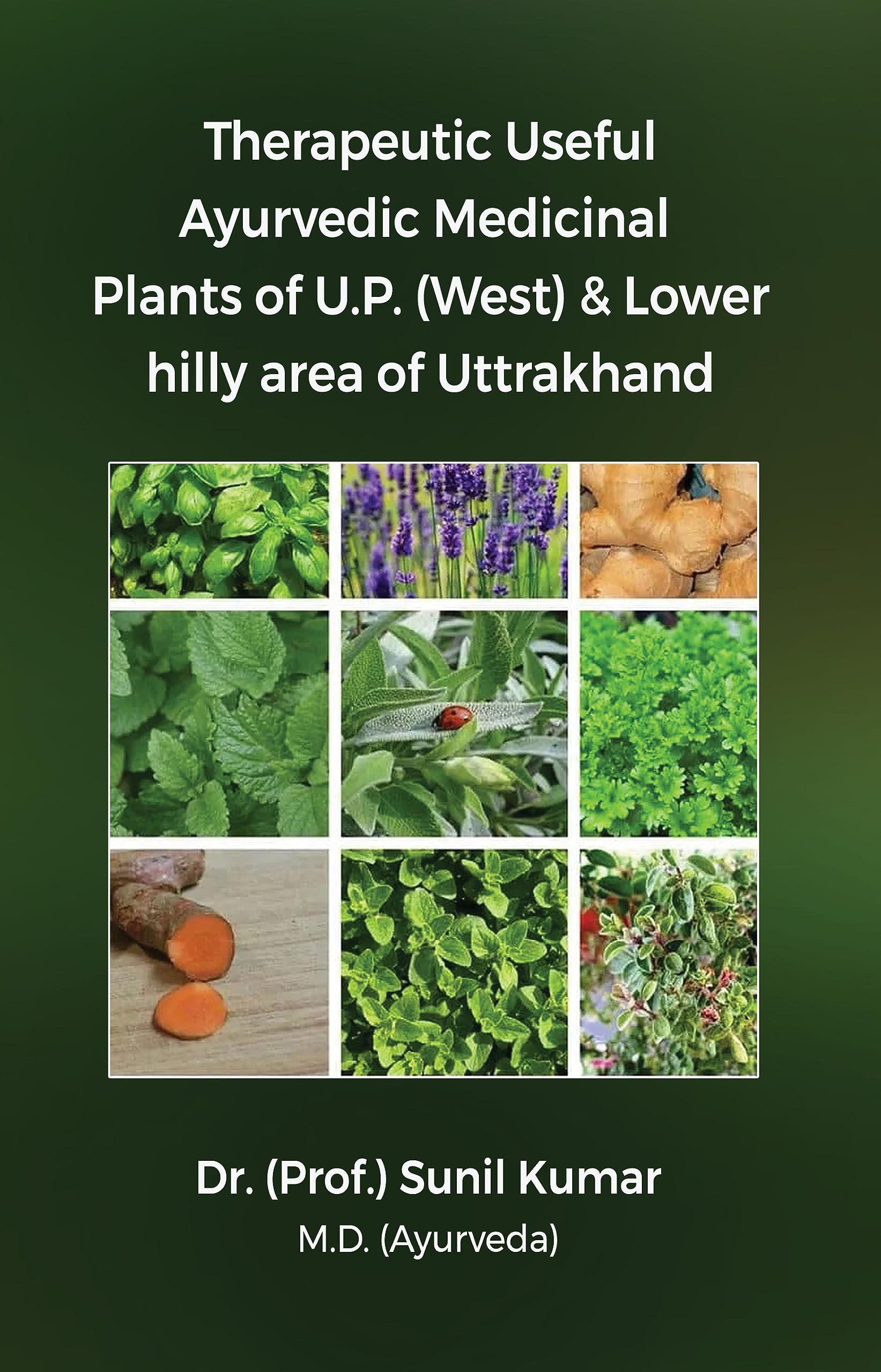 Therapeutic Useful Ayurvedic Medicinal Plants of U.P. (West) & Lower hilly area of Uttrakhand