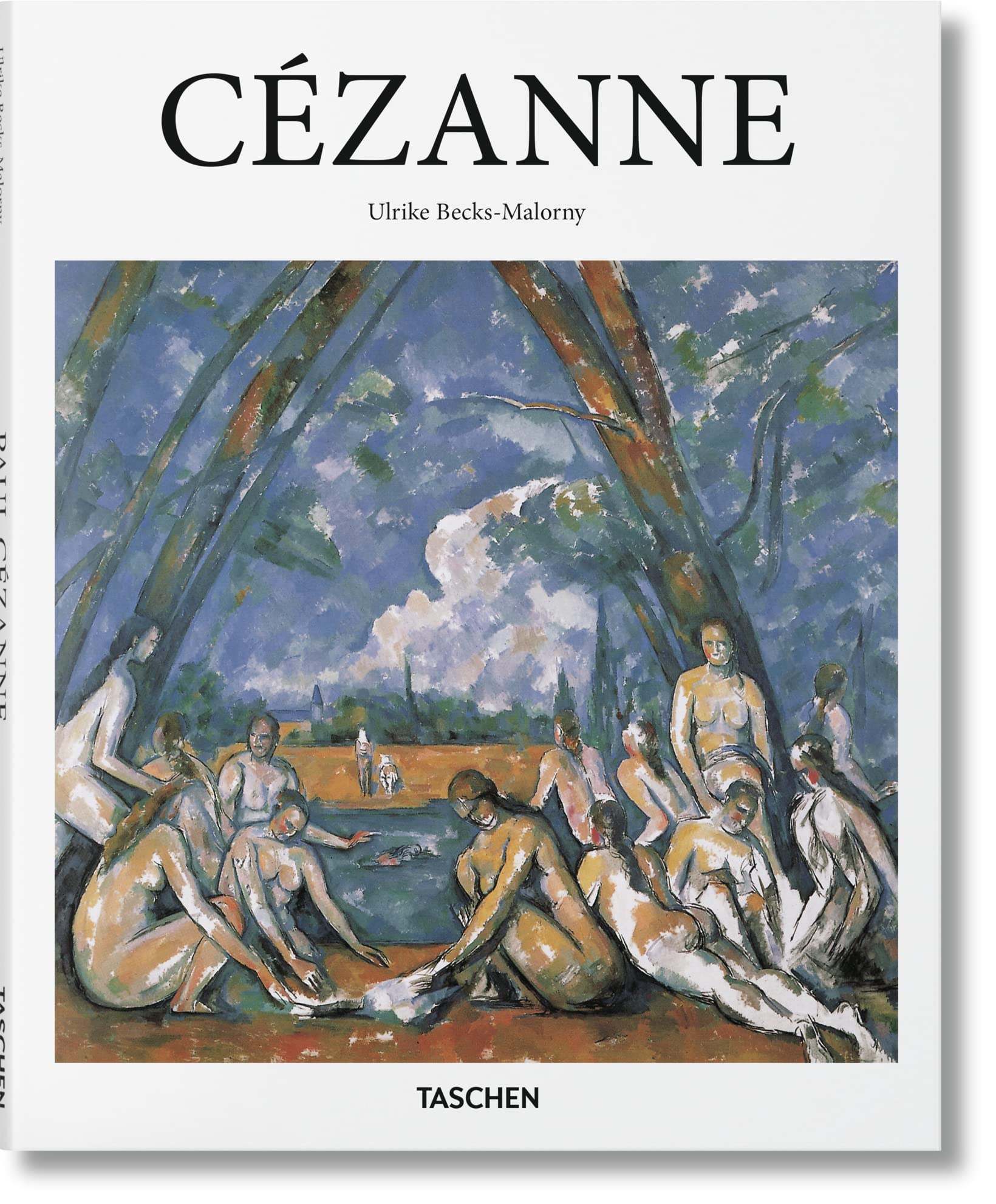 Paul Czanne: 18391906: Pioneer of Modernism