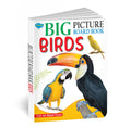 Big Picture Board Book Birds | Can Be Wiped Clean