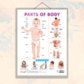 PARTS OF BODY CHART HARD LAMINATED | Body Parts Explorer Chart