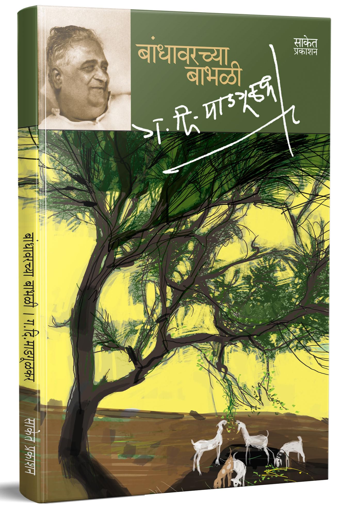 Bandhawarchya Babhali  Marathi