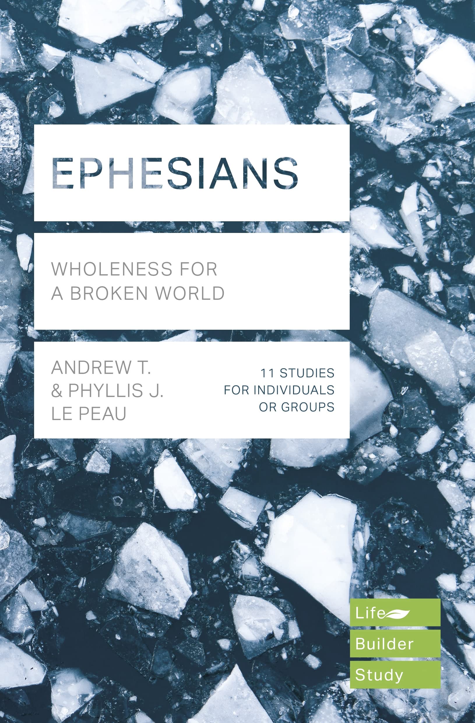Ephesians (Lifebuilder Study Guides): Wholeness For A Broken World (Lifebuilder Bible Study Guides, 205)