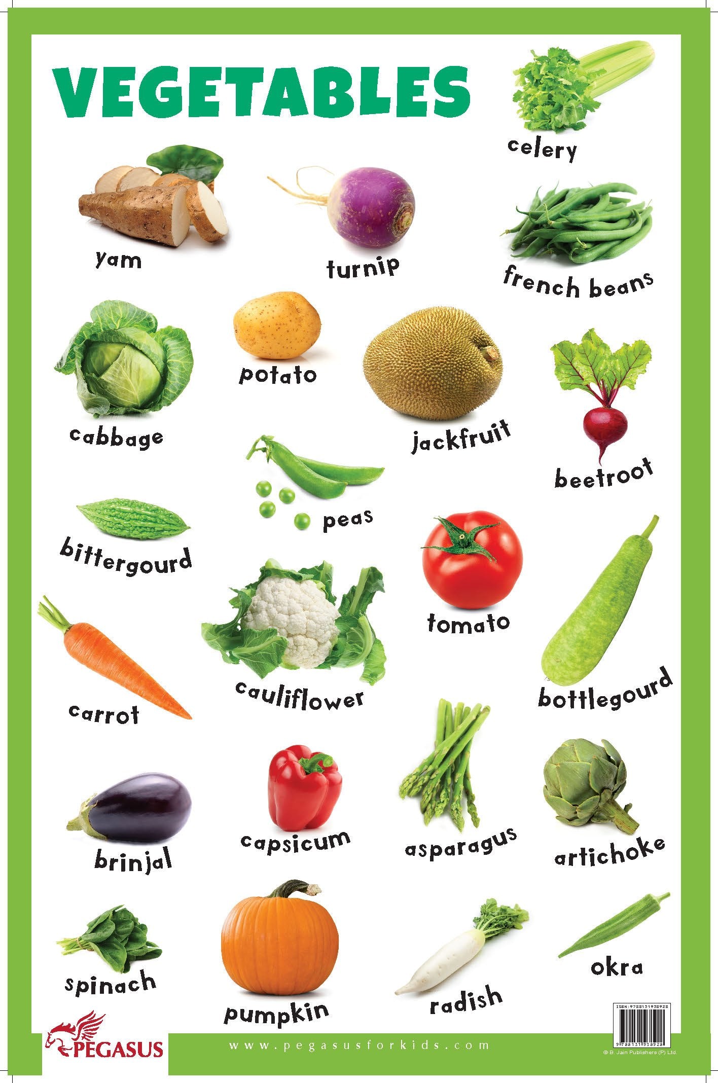 Vegetables  Thick Laminated Primary Chart