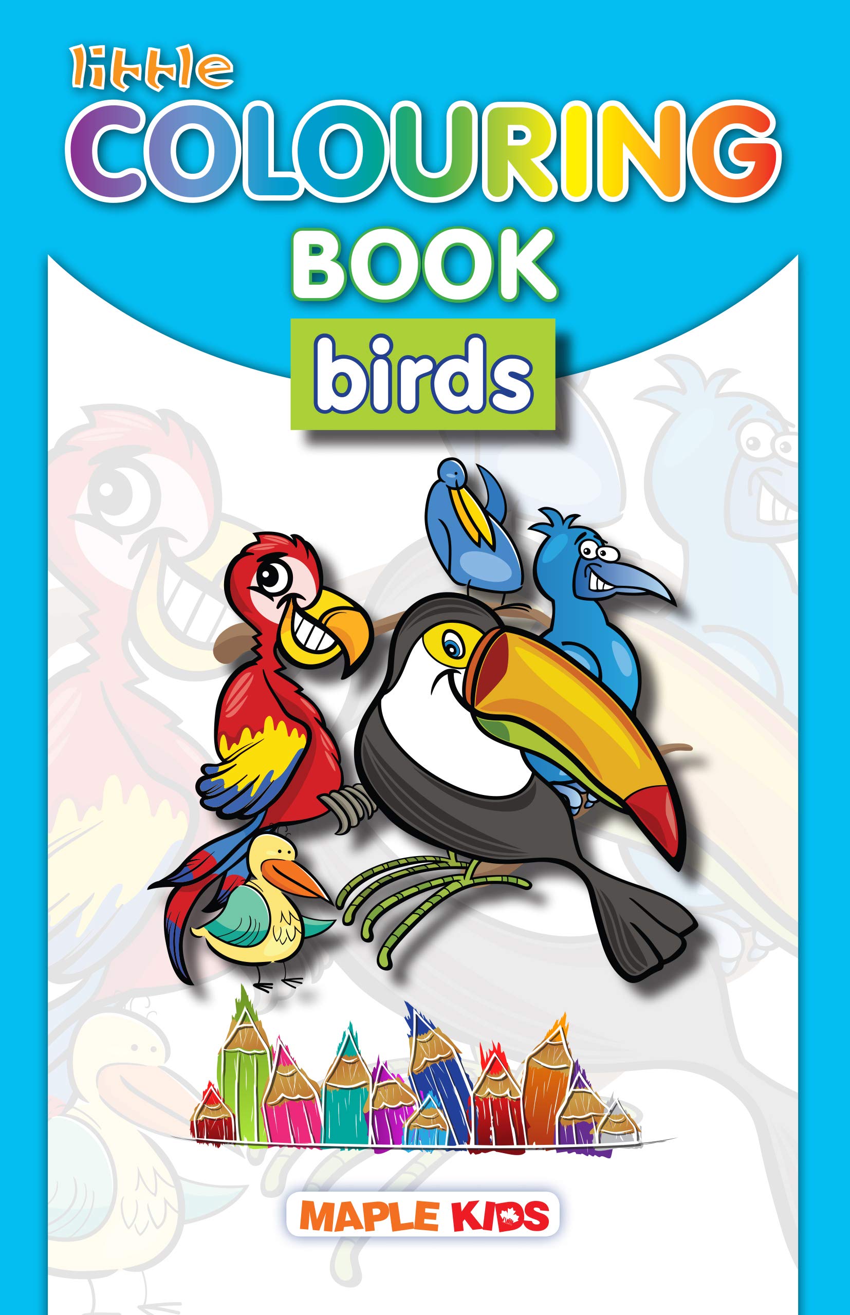 Little Colouring Book  Birds