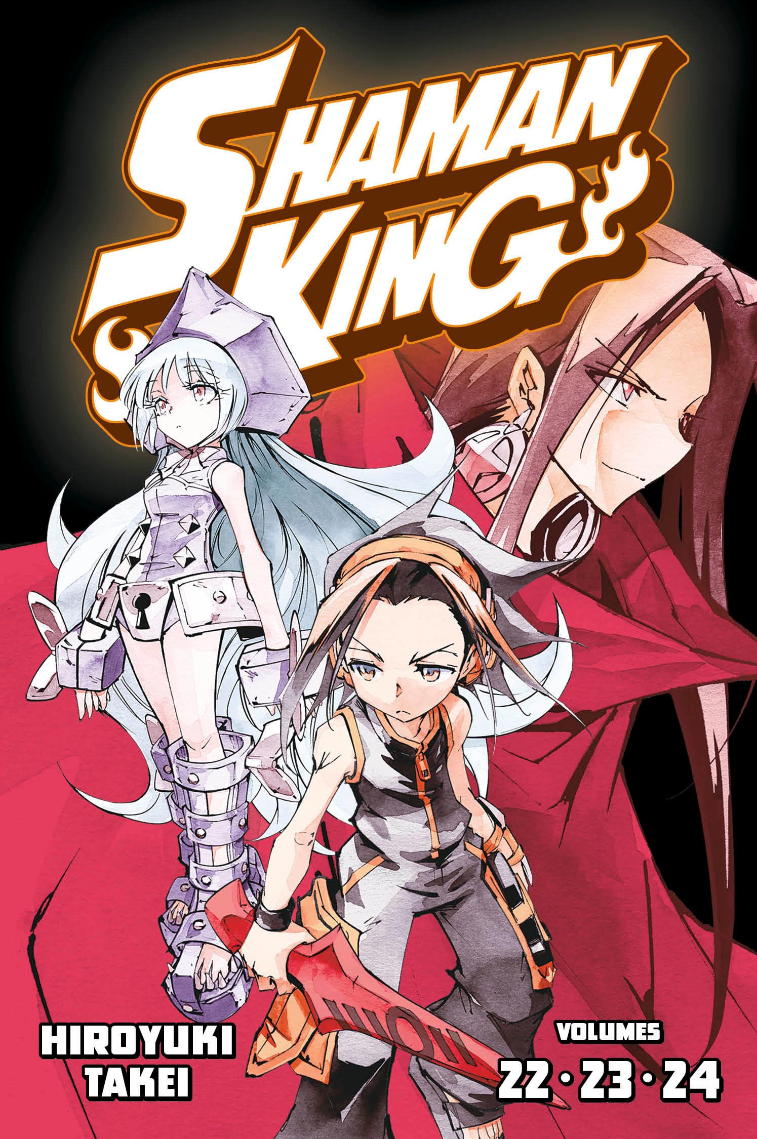SHAMAN KING Omnibus 8 (Vol. 2224)