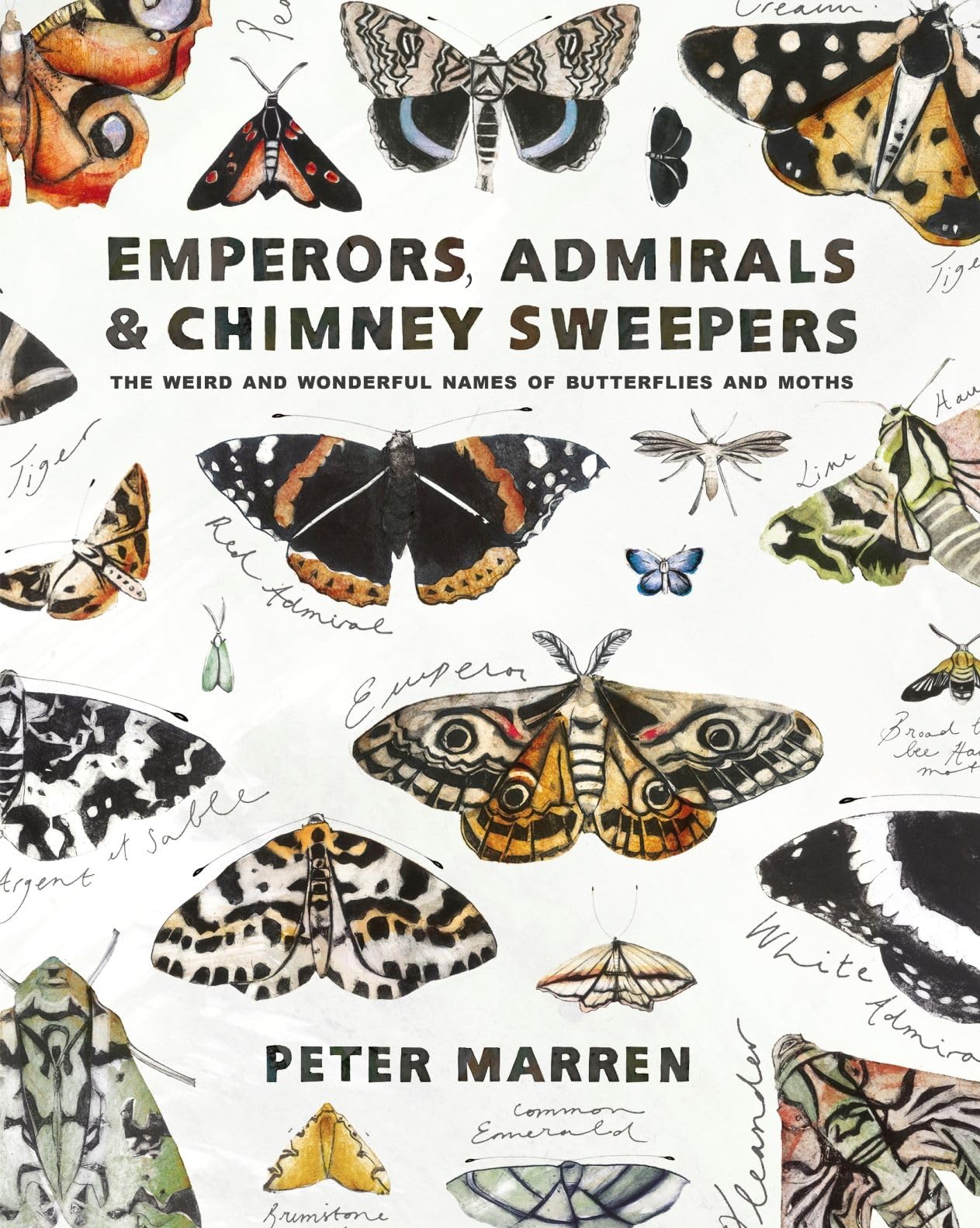 Emperors, Admirals And ChimneySweepers: The Weird And Wonderful Names Of Butterflies And Moths